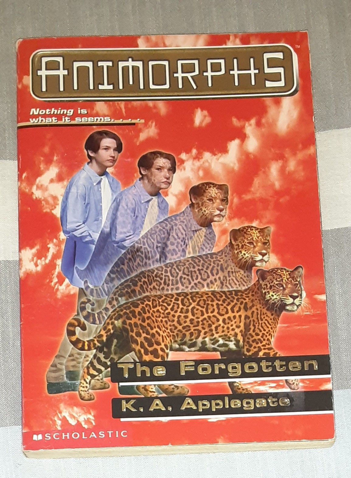 Animorphs Book Lot of 21 (K.A. Applegate, Paperback)