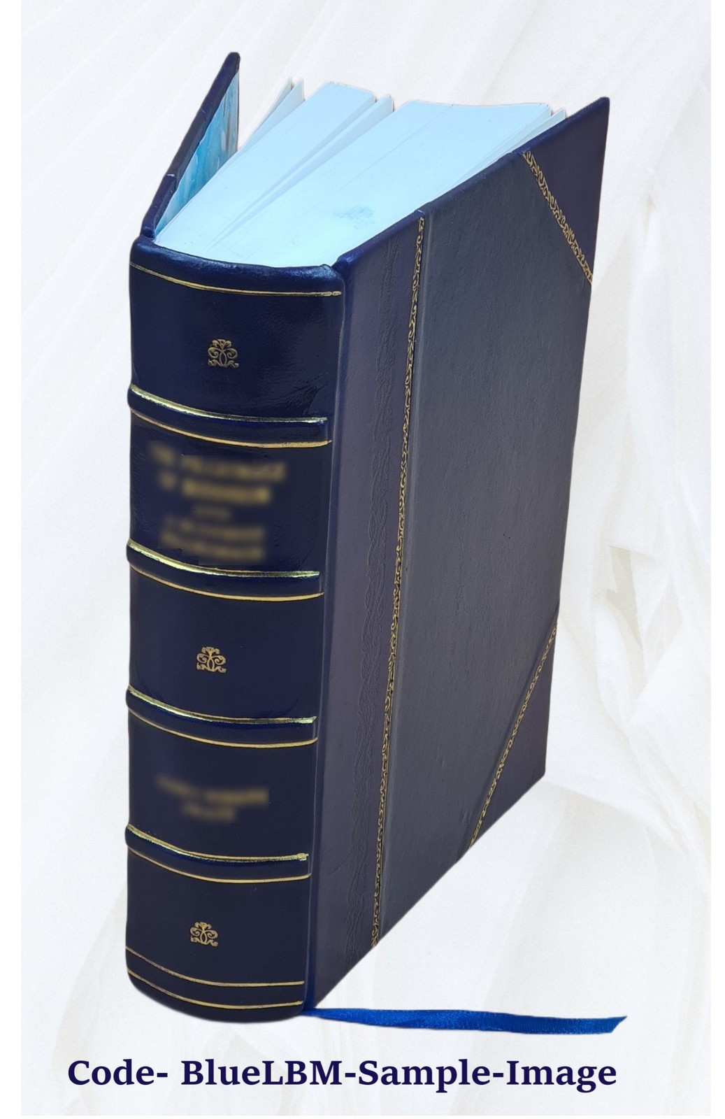 One hundred years of progress 1895 [Leather Bound]