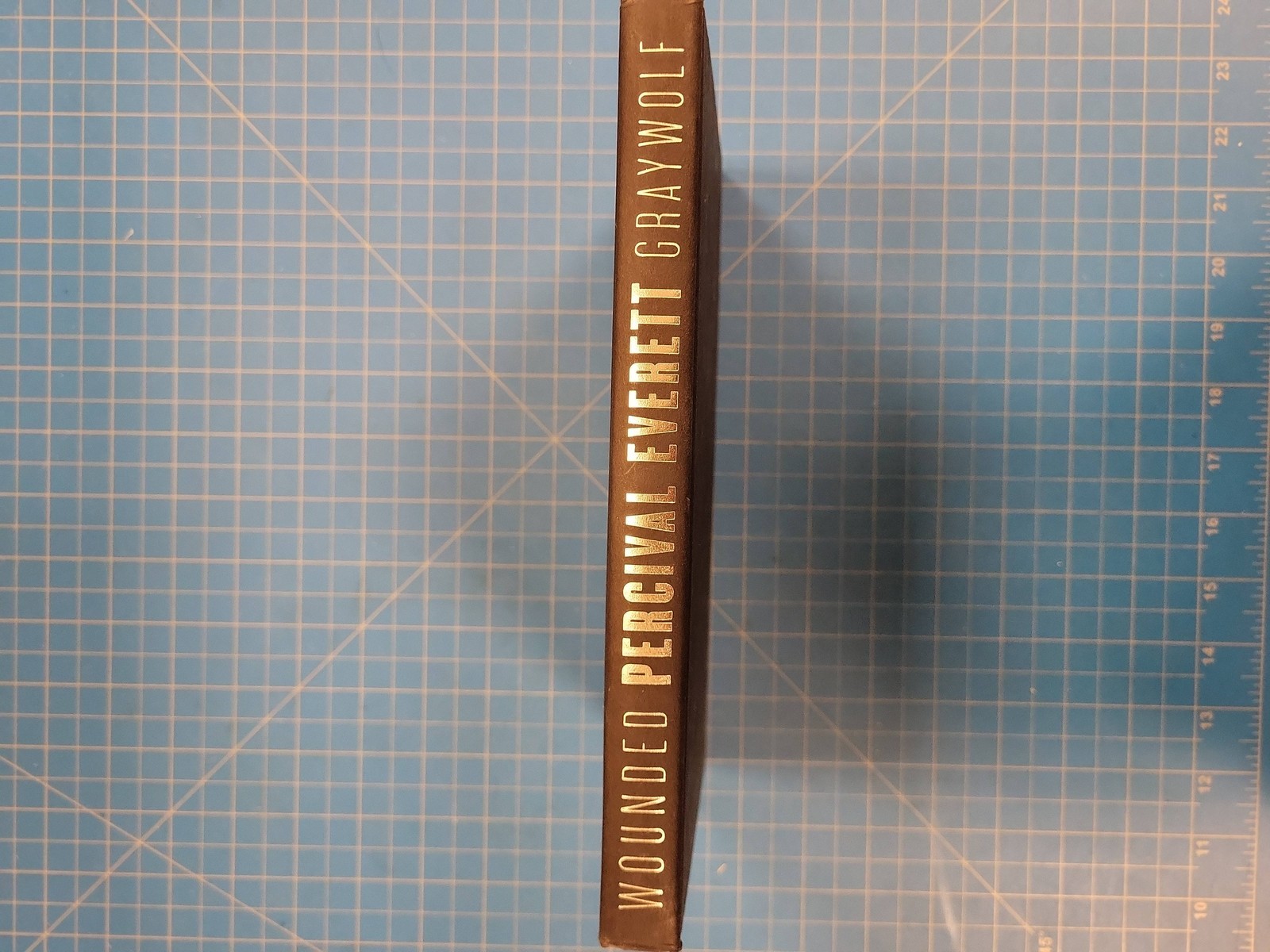 Percival Everett Wounded A Novel First Edition Hardcover 2005 Graywolf Press