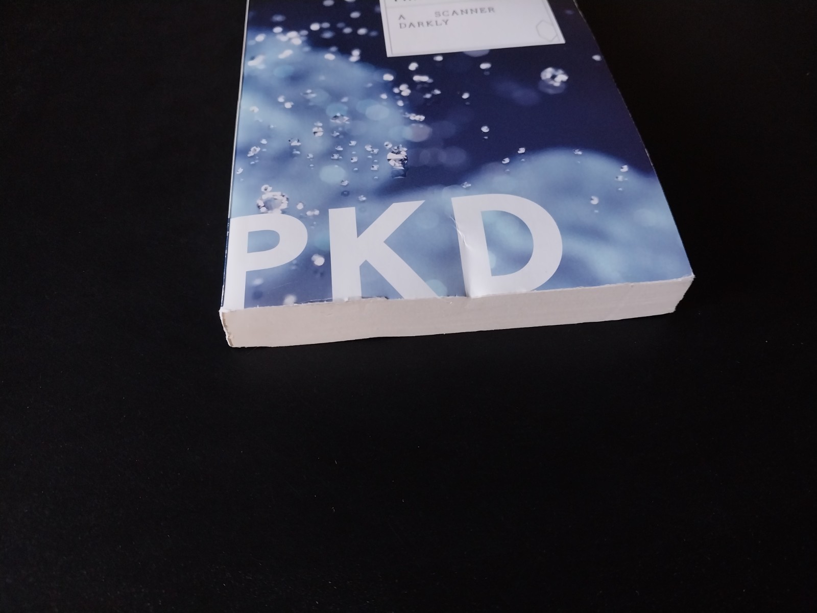 Philip K. Dick – A Scanner Darkly – Mariner Books 17th Printing