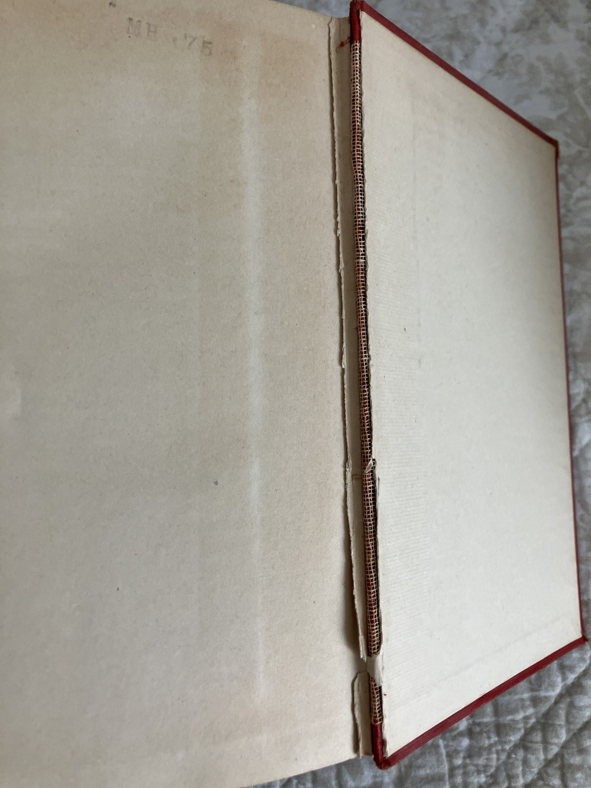 Edgar Rice Burroughs, TARZAN THE TERRIBLE, hardback book w/ DJ, Grosset & Dunlap