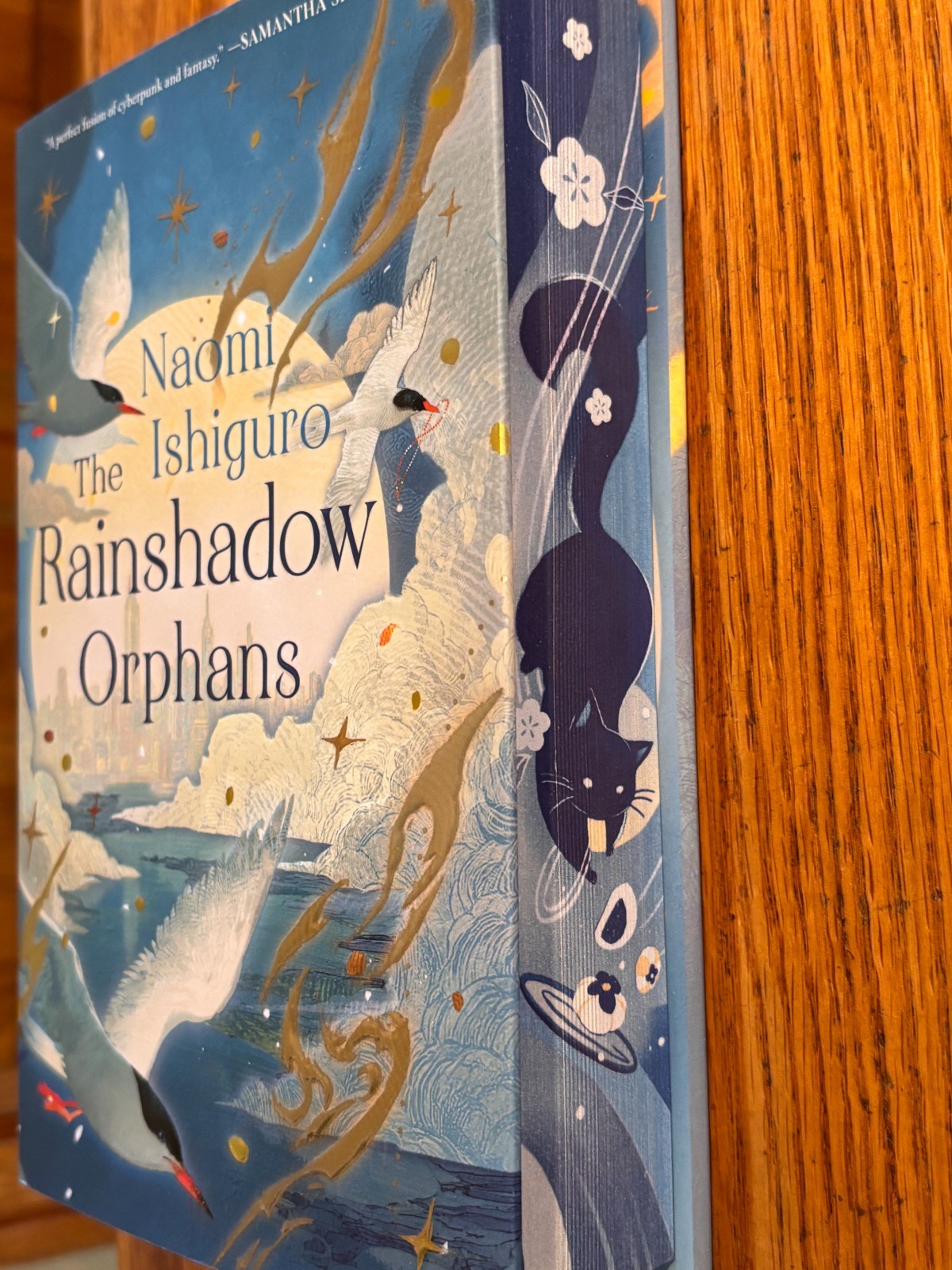 THE RAINSHADOW ORPHANS Naomi Ishiguro Deluxe First Edition hardcover