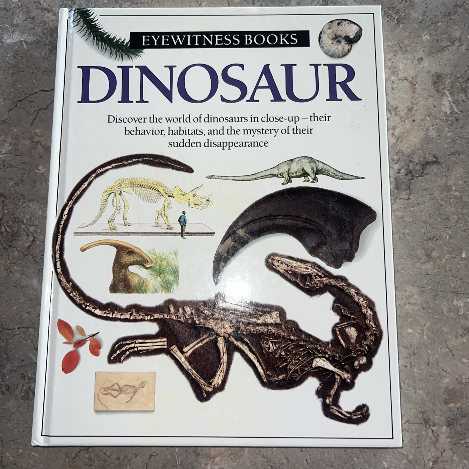Vintage 1989 Dinosaur Museum Education Learning Book Hardcover