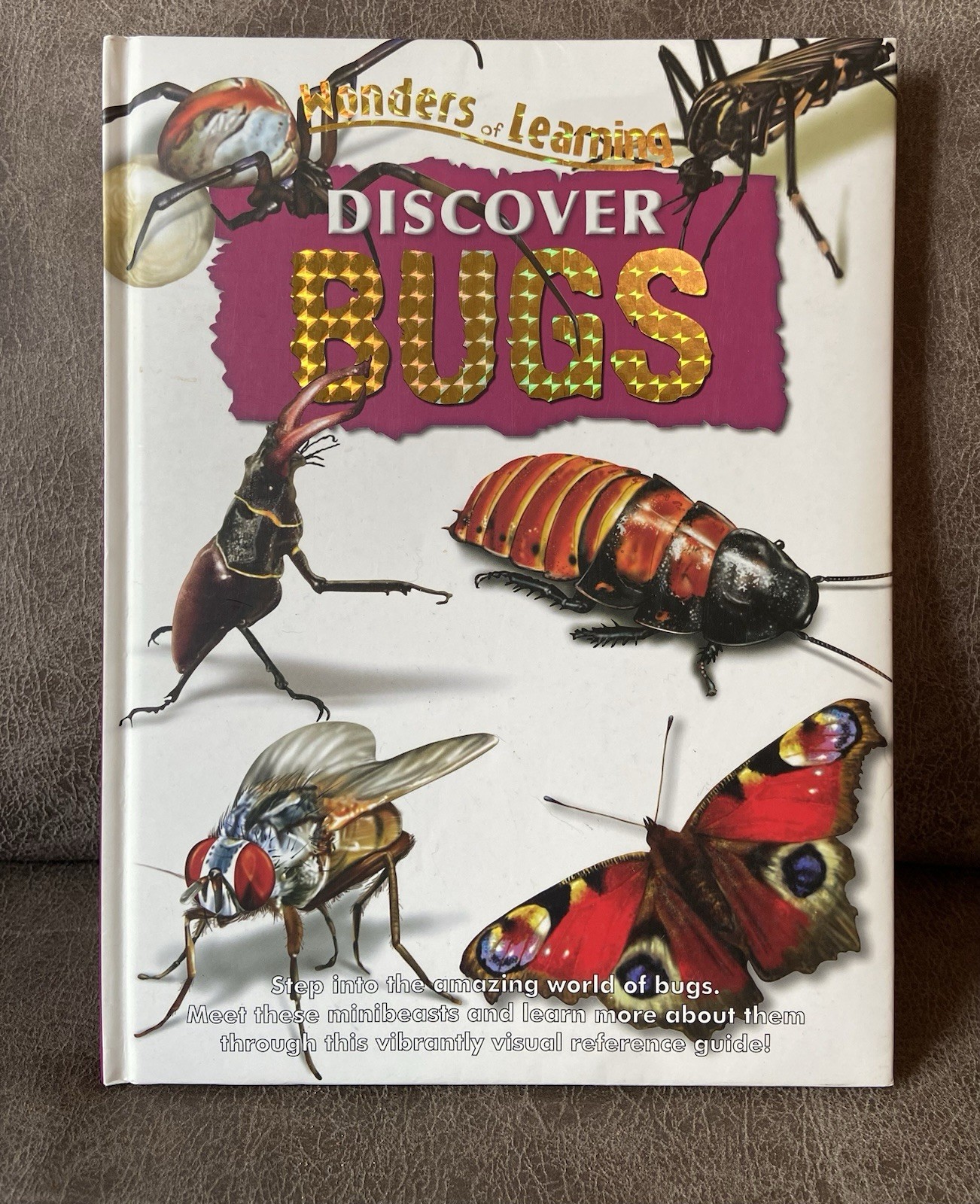 Wonders Of Learning Discover Books (Lot Of 4) Snakes, Bugs, Sharks, Dinosaurs