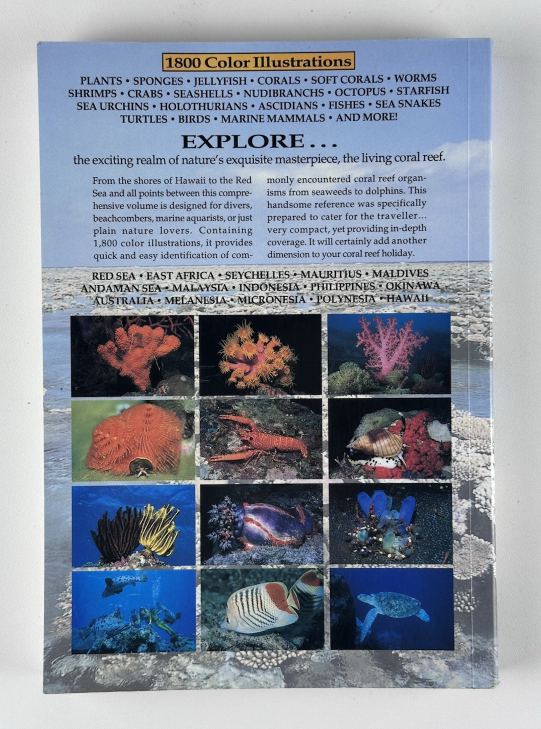 Indo-Pacific Coral Reef Field Guide by Dr. Gerald R. Allen & Roger Steene 1996