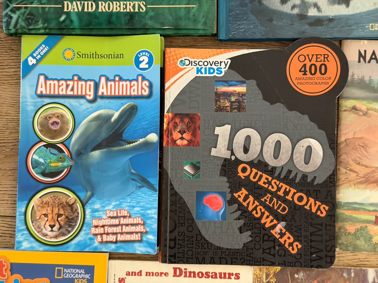Lot of 15 Children’s Animal animals Picture Books Homeschool Sharks, Reptiles…
