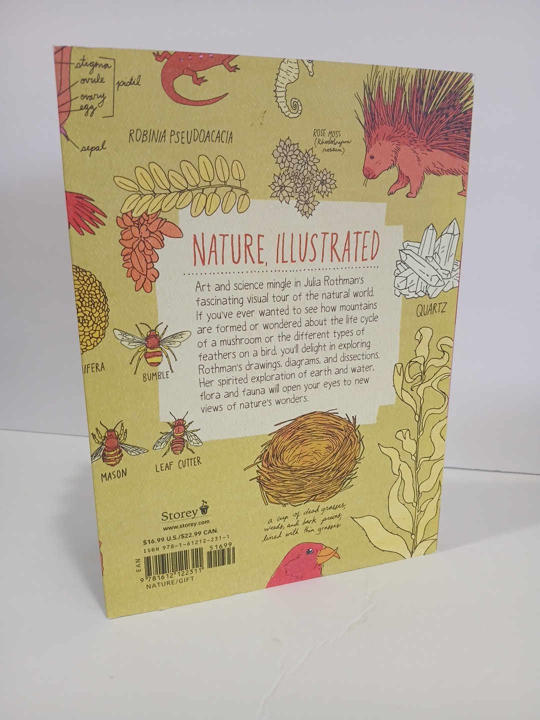 Nature Anatomy : The Curious Parts and Pieces NEW by Julia Rothman (Paperback)