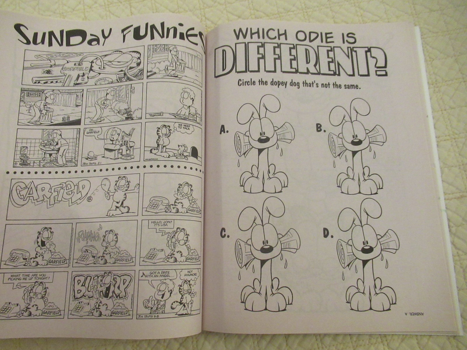 Garfield Coloring and Activity Books (2-Set) (Paperback) (Bendon Publishing)
