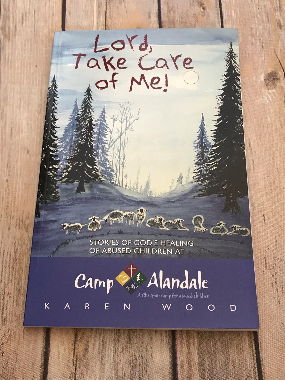 Lord, Take Care of Me! Stories of God’s Healing of Abused Children Camp Alandale