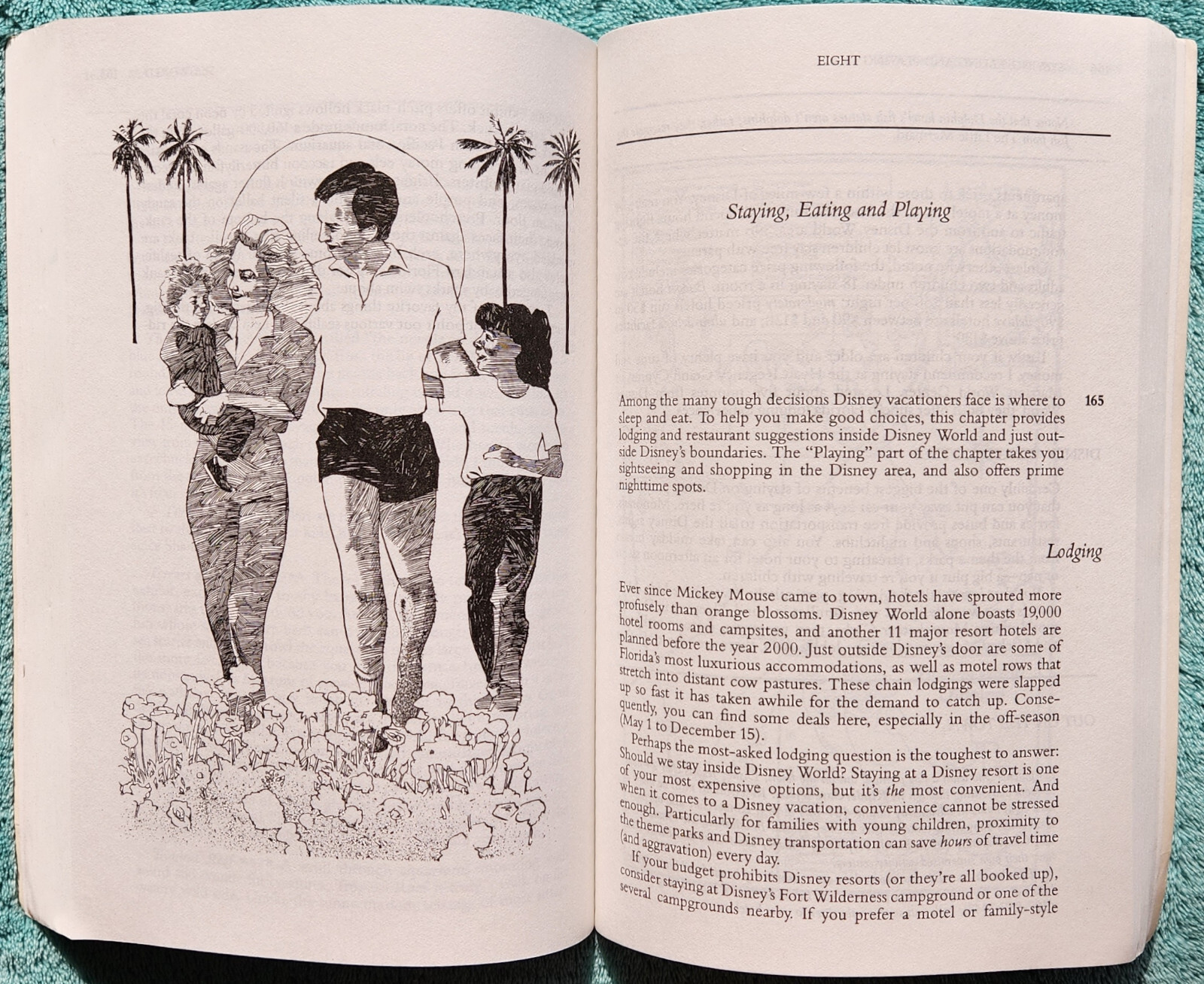 Disney World And Beyond The Ultimate Family Guidebook 1992 Paperback 270 Pages