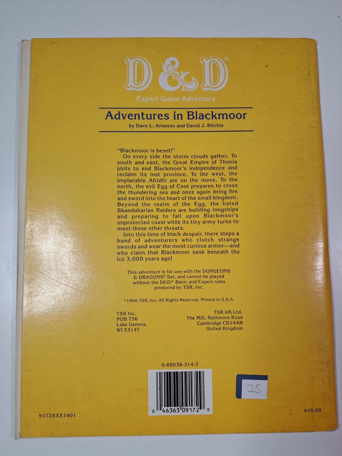 Dungeons and Dragons Adventures in Blackmoor Module