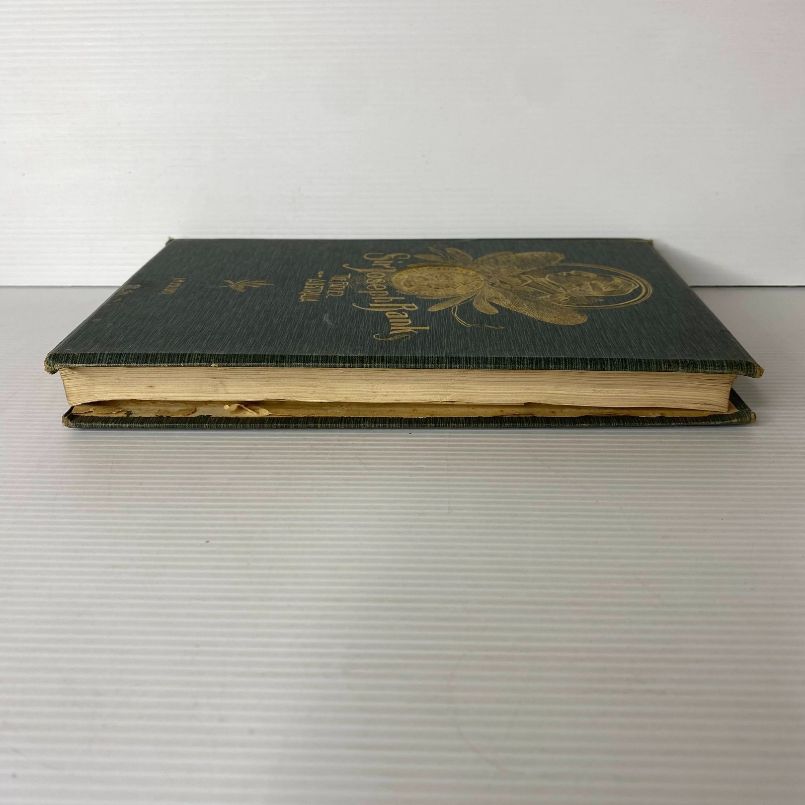 Sir Joseph Banks The Father of Australia by J.H. Maiden. 1909. Maps
