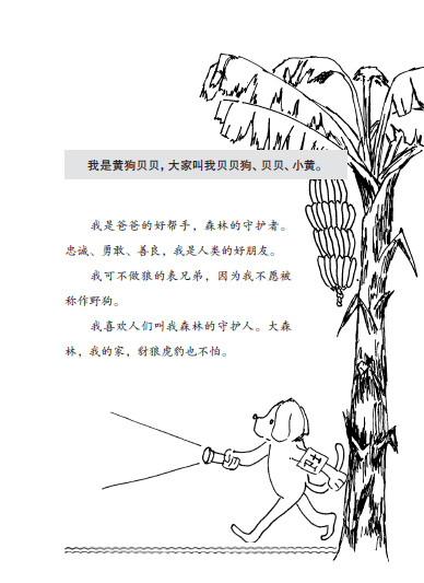 阅读中文小说，轻松学习中文，全套共36本365个成语，中国小学生课外阅读推荐书《大森林传奇》第一部，6本60个成语，小动物们带你走进真善美的世界