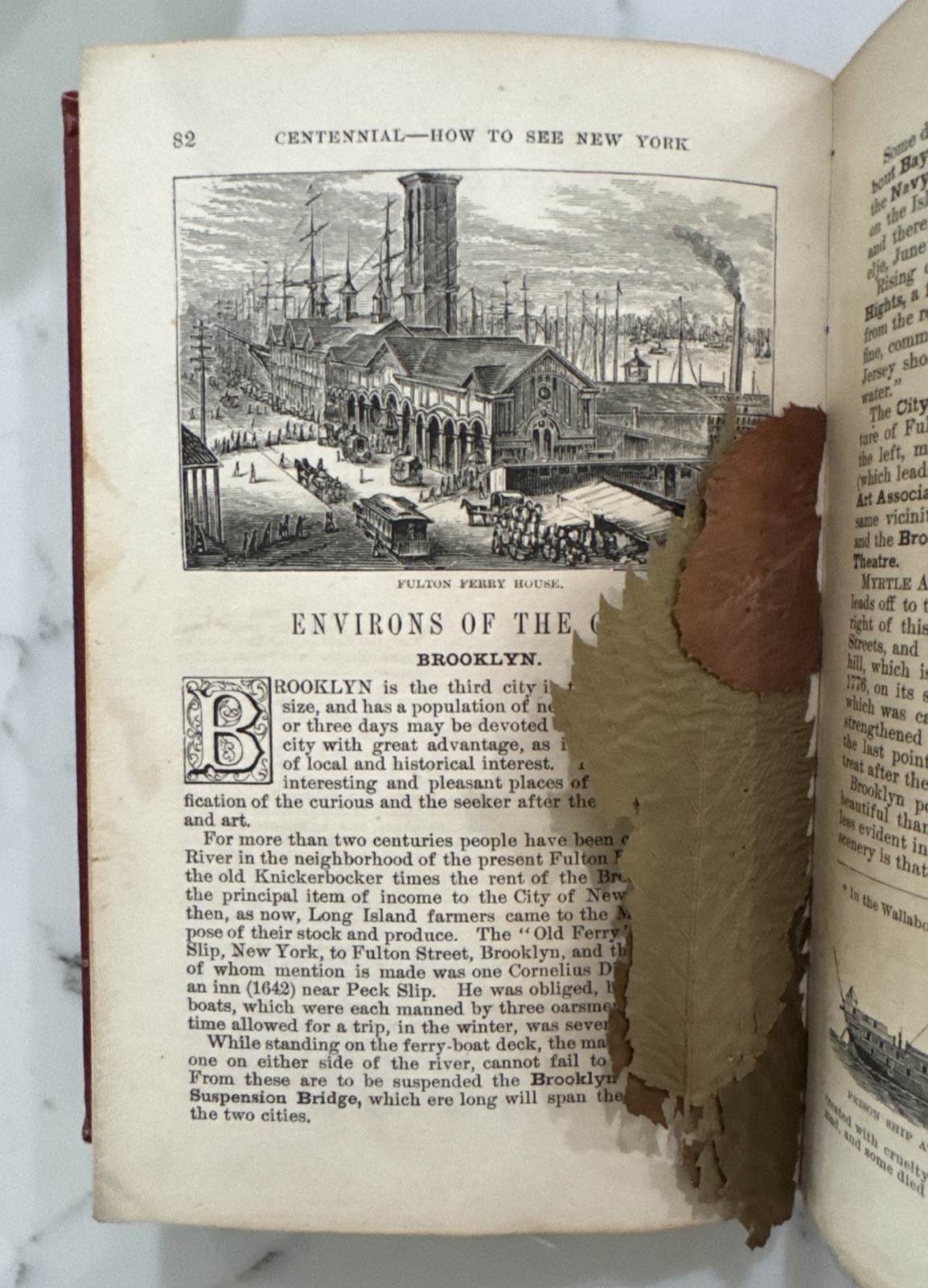 History of and How to See New York and Its Environs by Robert Macoy (HC, 1876)