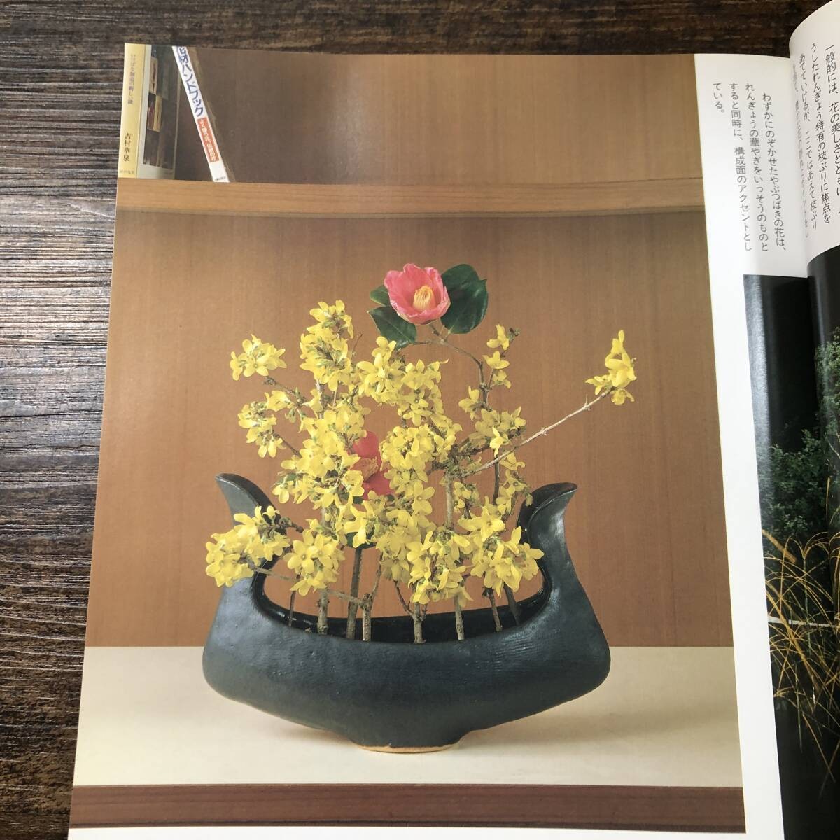 J10406 ​​Modern Ikebana Morihana Its Beauty And Form Shufunotomosha January 10,