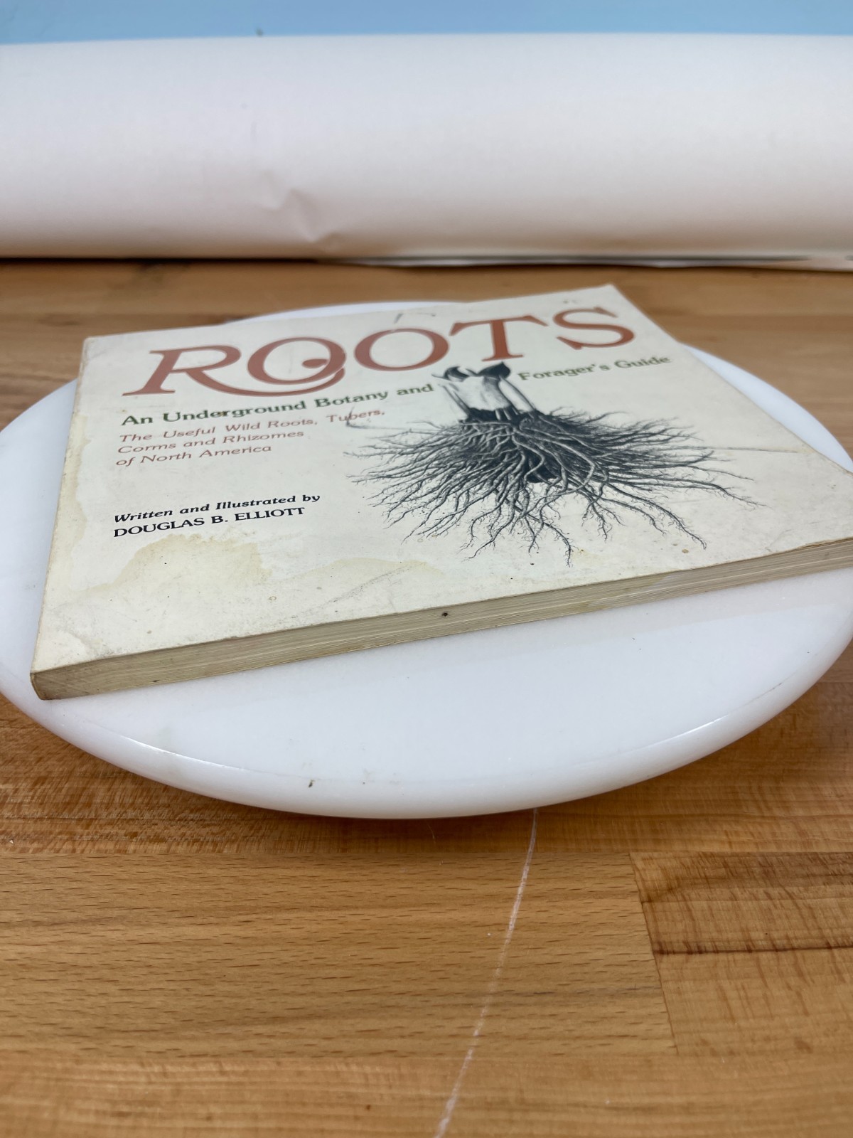 Roots Underground Botany Forager Guide Douglas B Elliott Vintage PB 1979