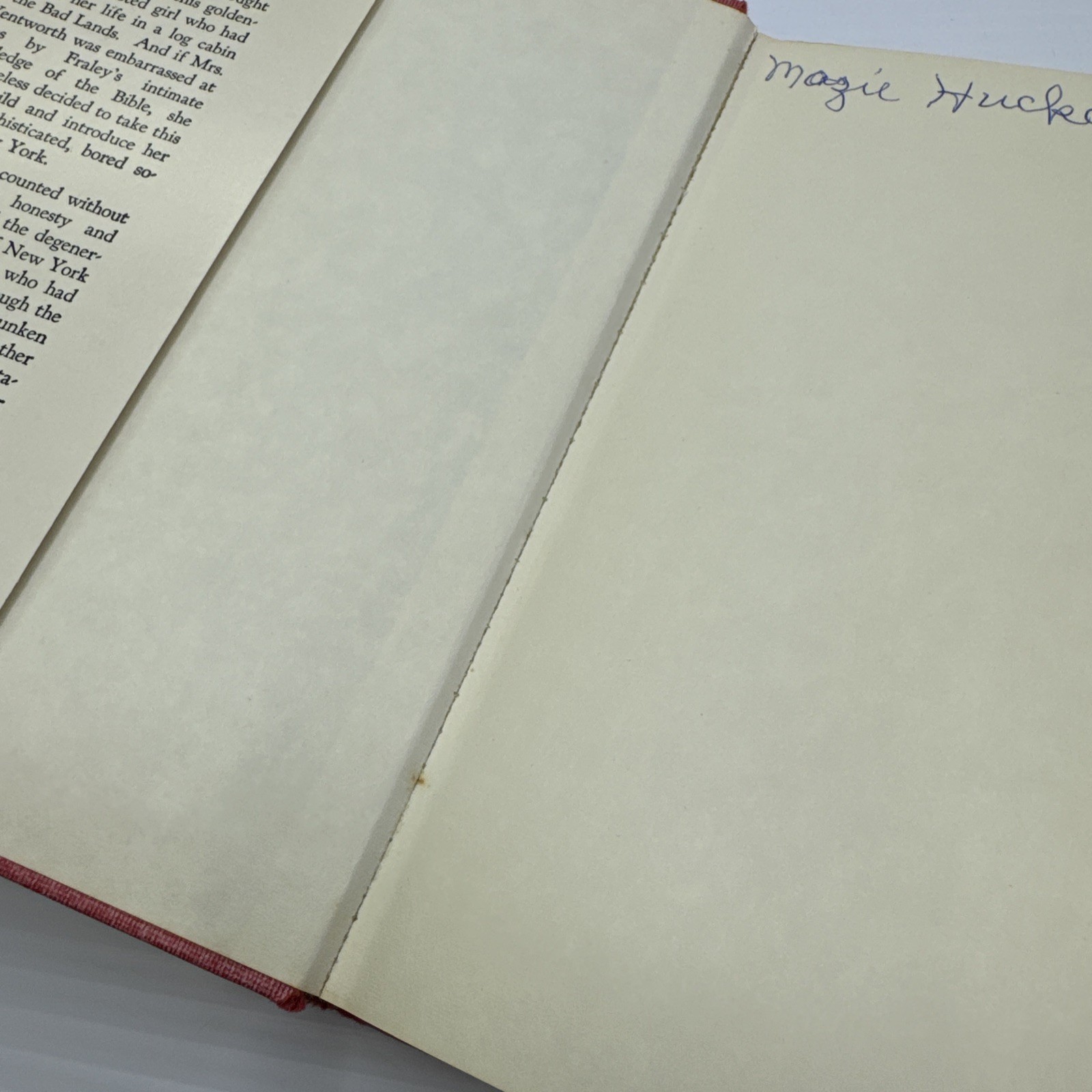 Ladybird Grace Livingston Hill Grosset & Dunlap c1930 Later Print Vintage Novel