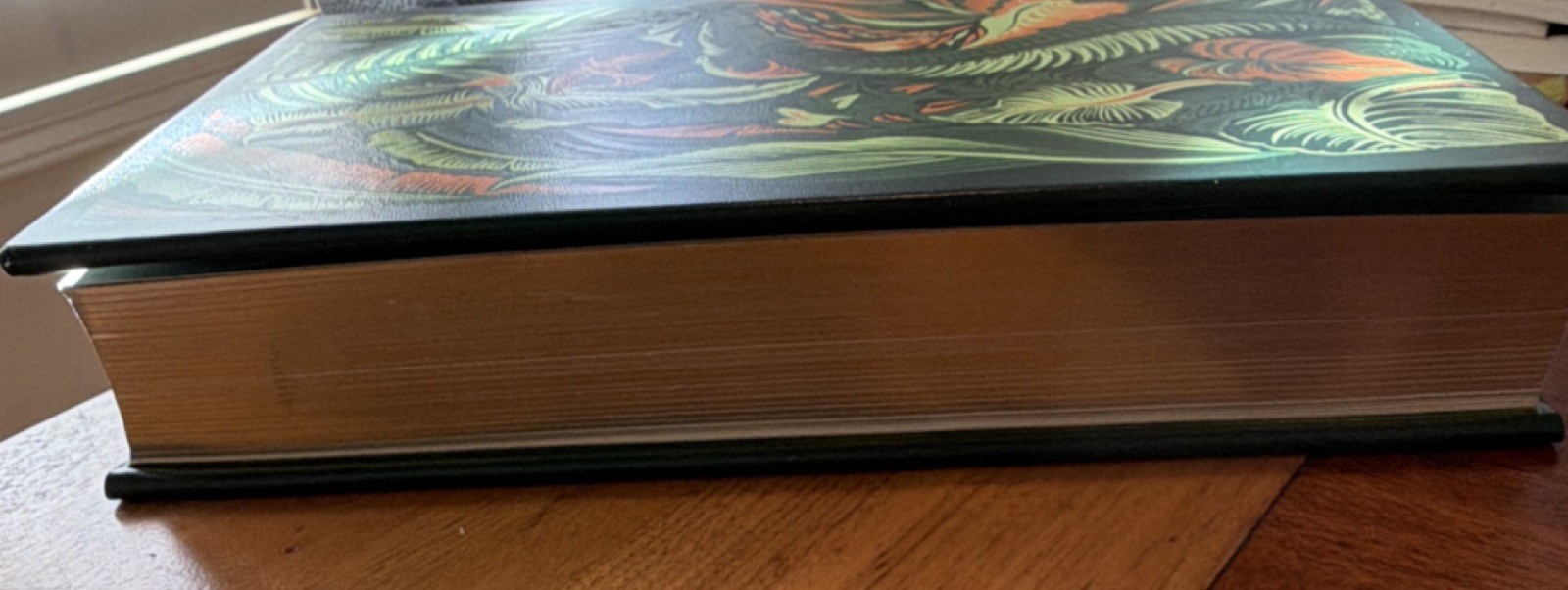 One Hundred Years of Solitude Gabriel García Márquez B&N Leatherbound 2011 HC