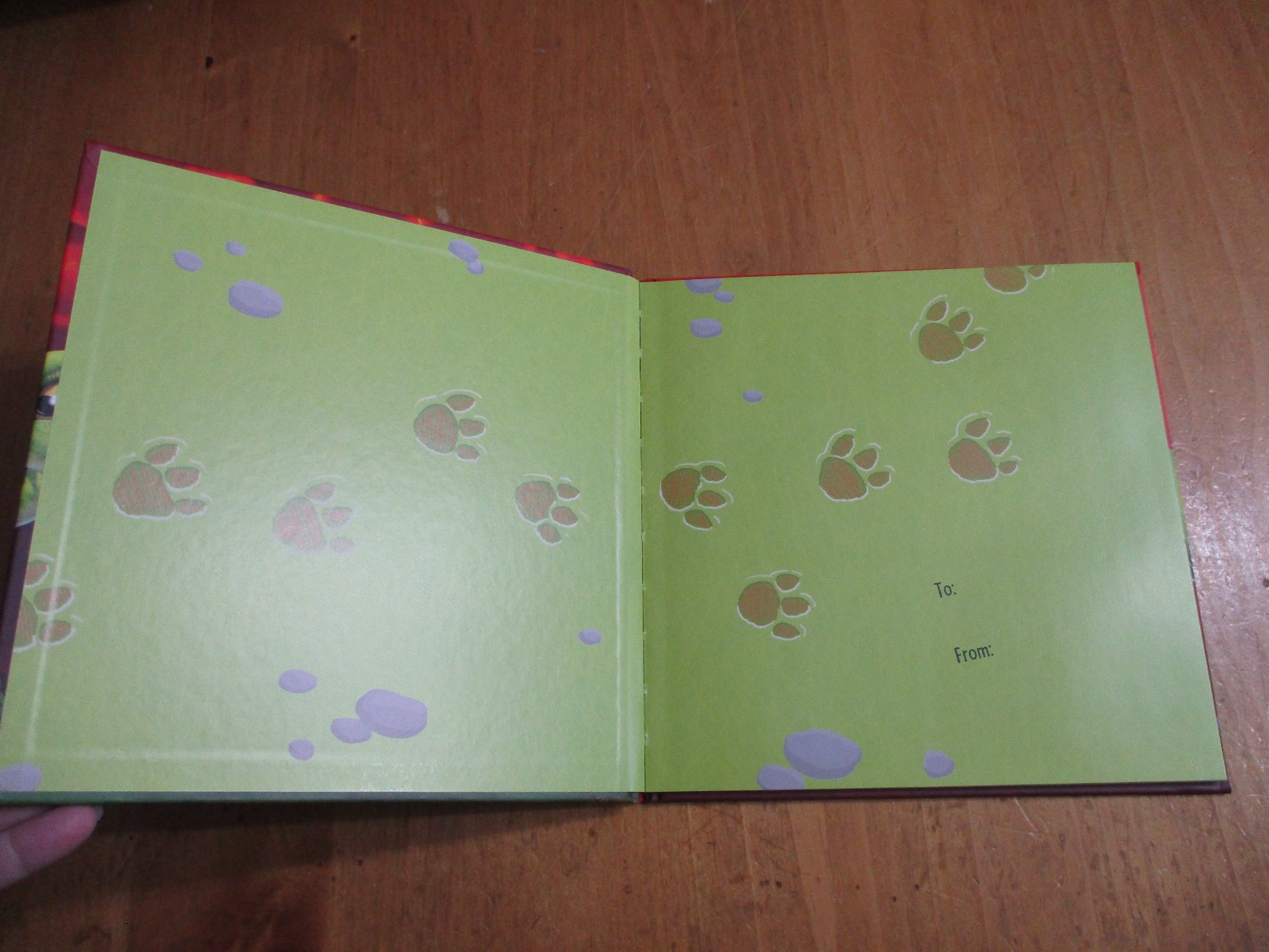 2-Kids Books Learn About Dinosaurs Lift The Flap & How To Catch a Dinosaur