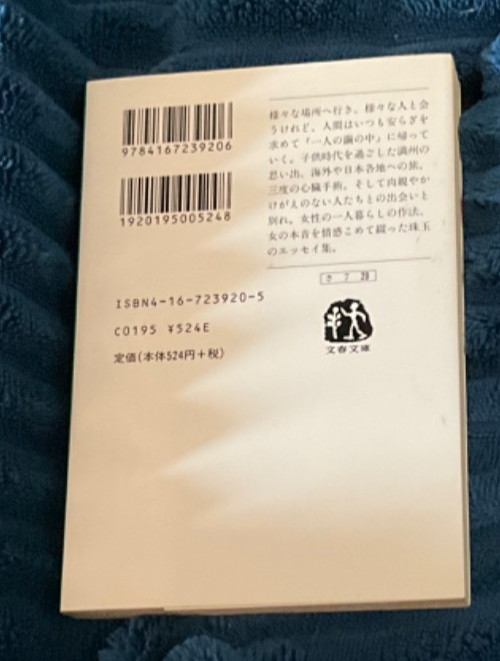 Hisae Sawachi “Mayu is Left Alone”?? PB Japanese Text VGC Bunshun Bunko