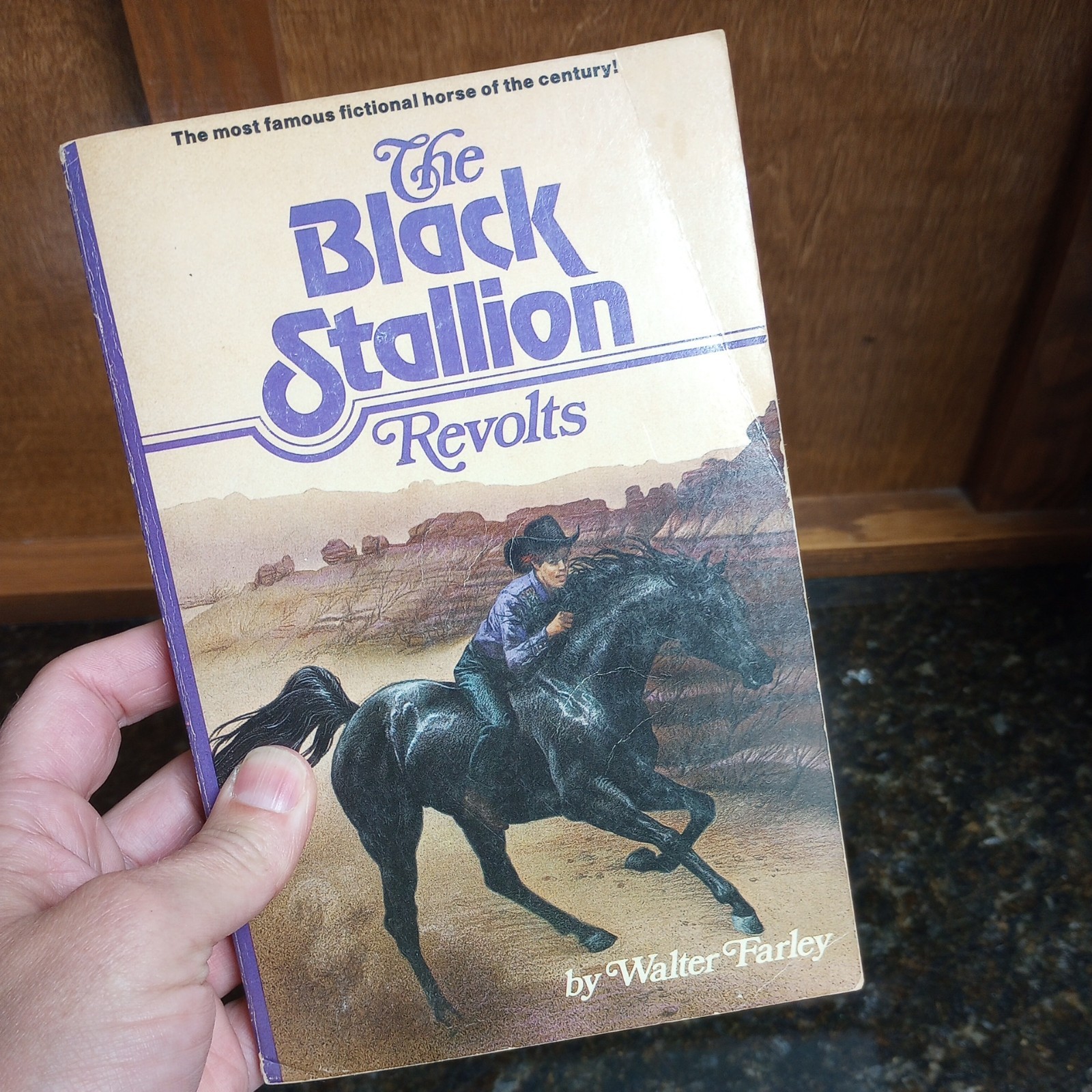 The Black Stallion Set Of varies Paperback Books 1980’s Walter Farley LOT of 6