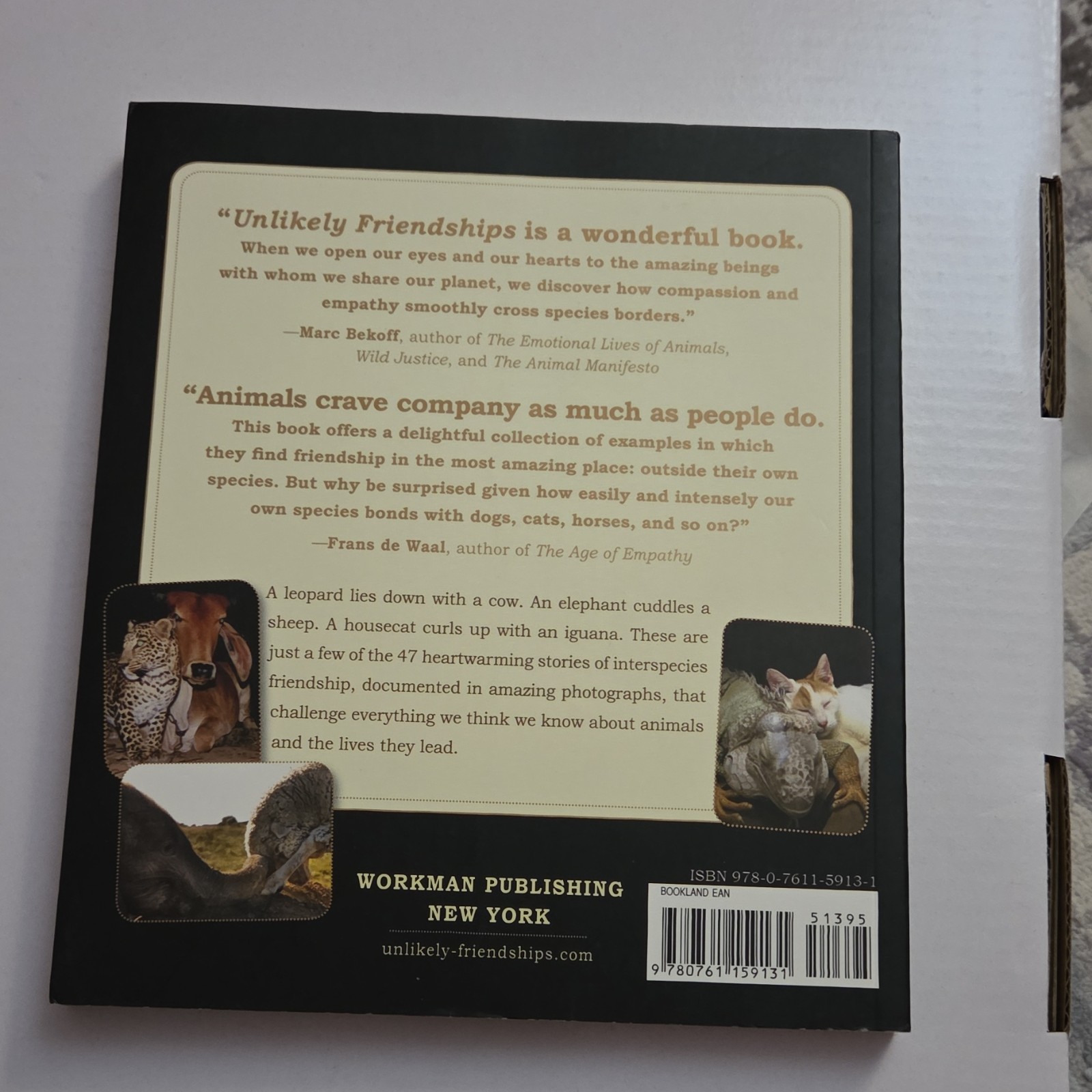 Unlikely Friendships Jennifer S. Holland Paperback Workman Animals Nature 2011