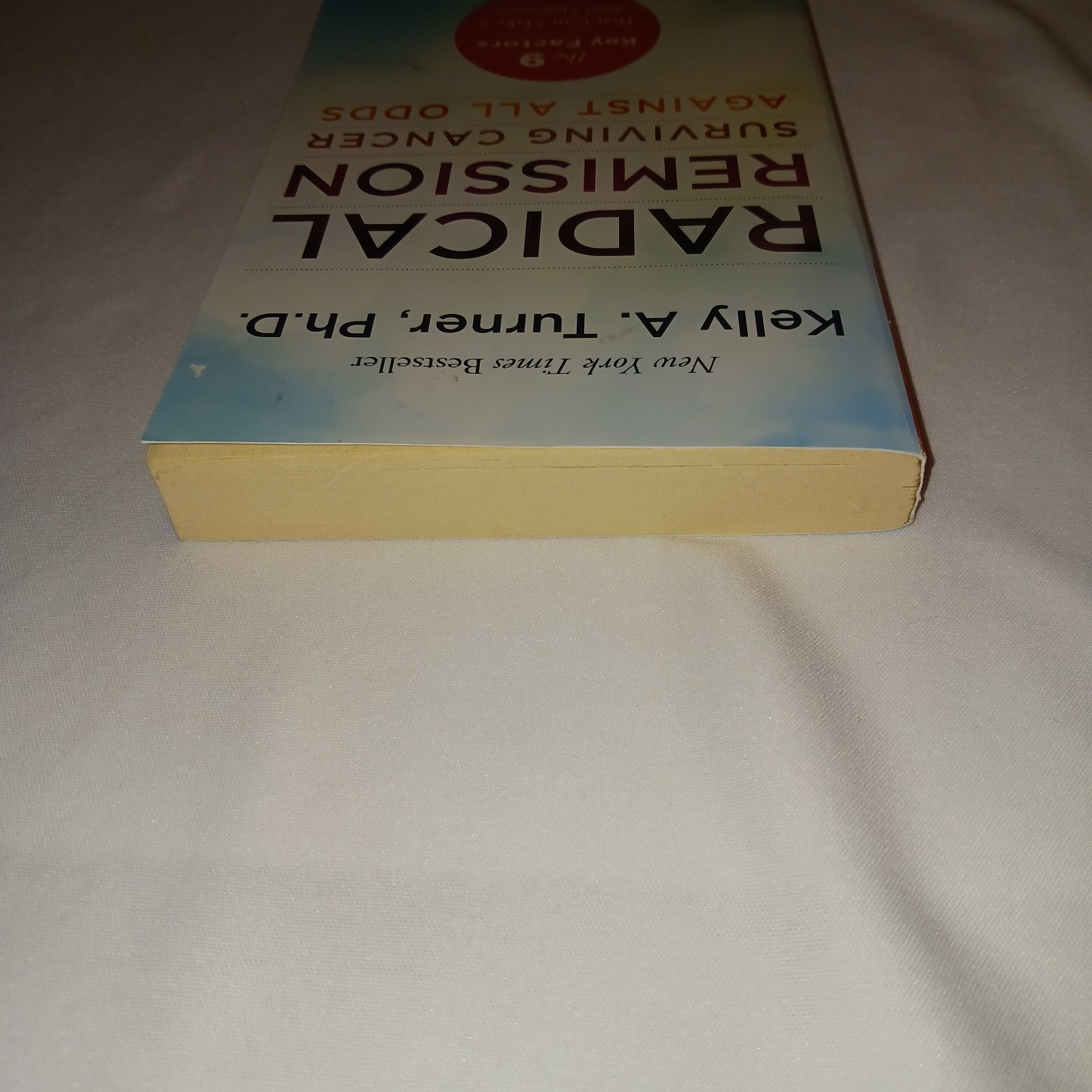 Radical Remission Surviving Cancer Against All Odds PB Kelly A Turner