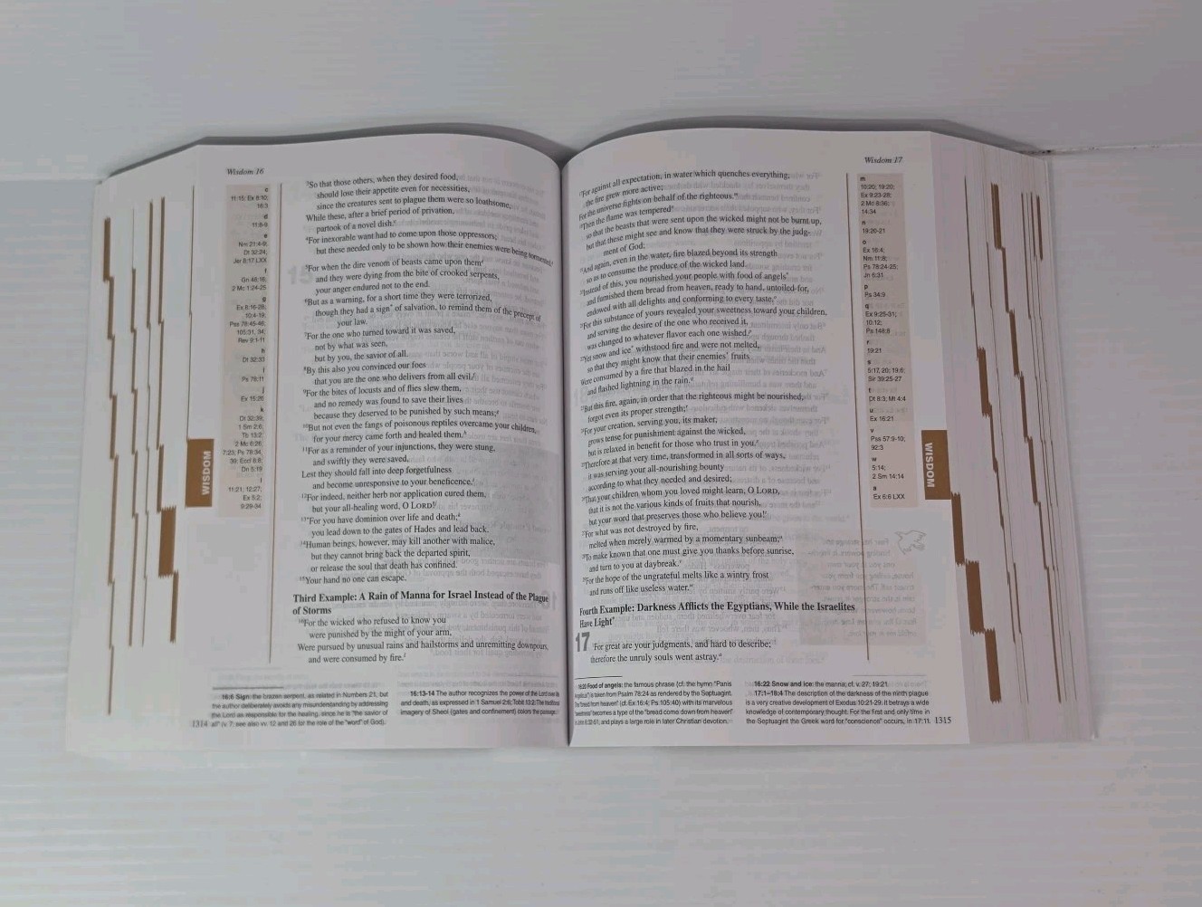 Little Rock Catholic Study Bible