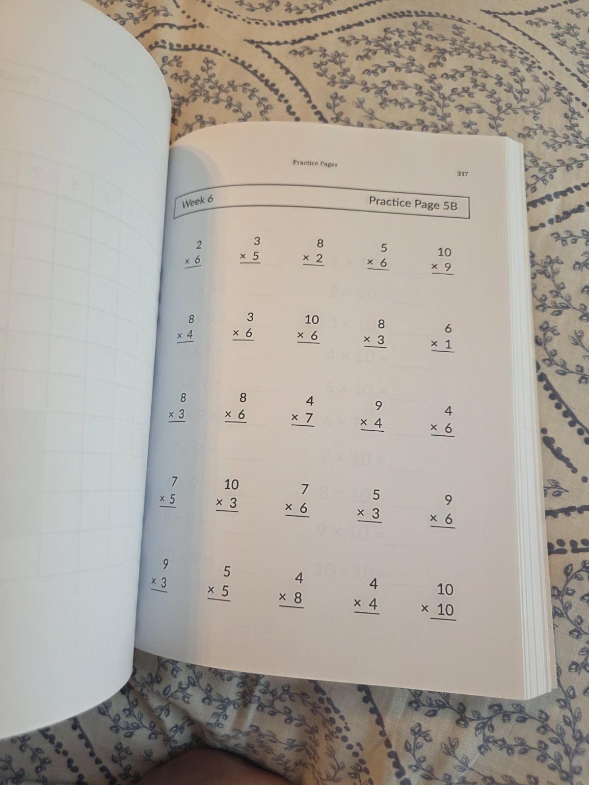 Multiplication Facts That Stick (BRAND NEW) Homeschool Well-trained Mind
