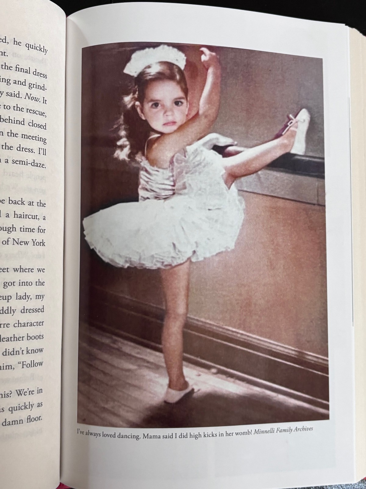 Kids, Wait till You Hear This! by Liza Minnelli (2026, Hardcover)