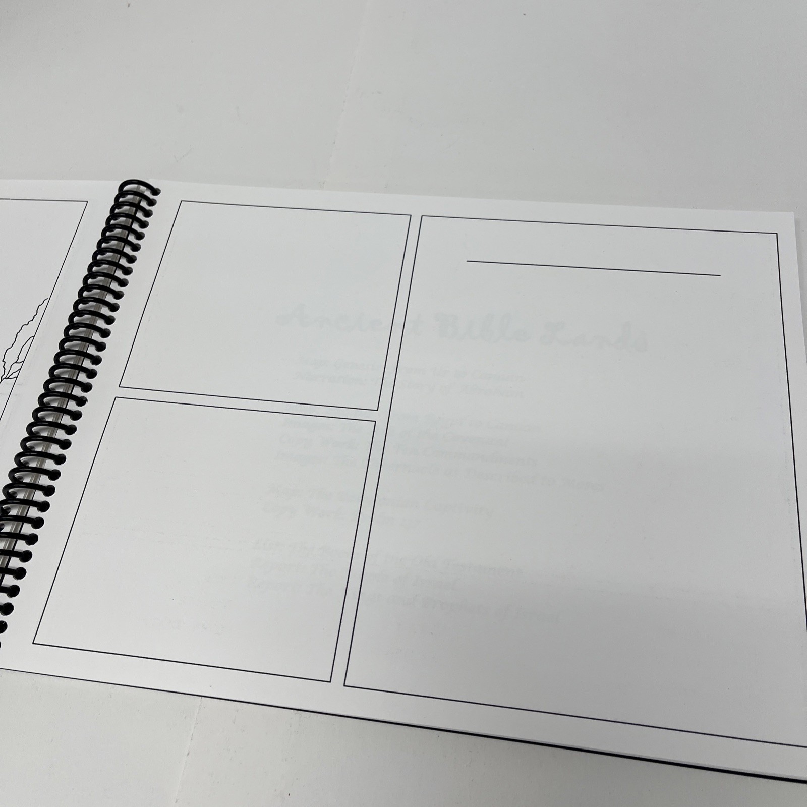 Ancient History Portfolio & Timeline Shukin