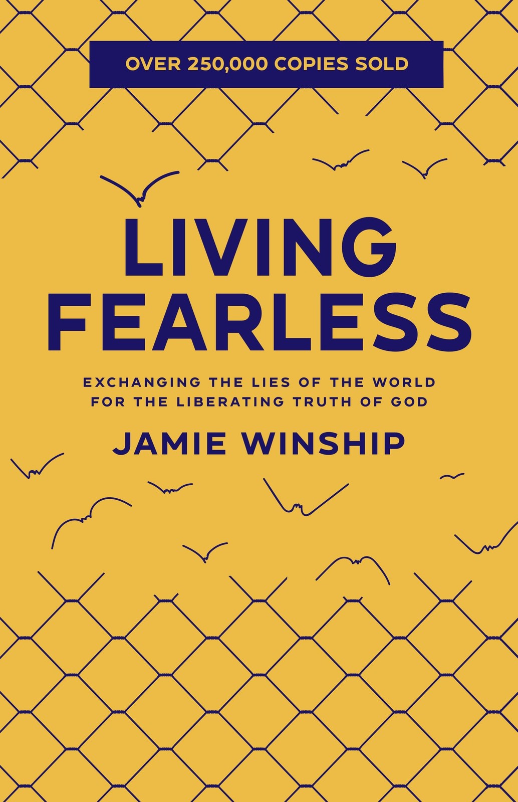 Living Fearless Paperback by Jamie Winship Christian Book Identity in Christ 202