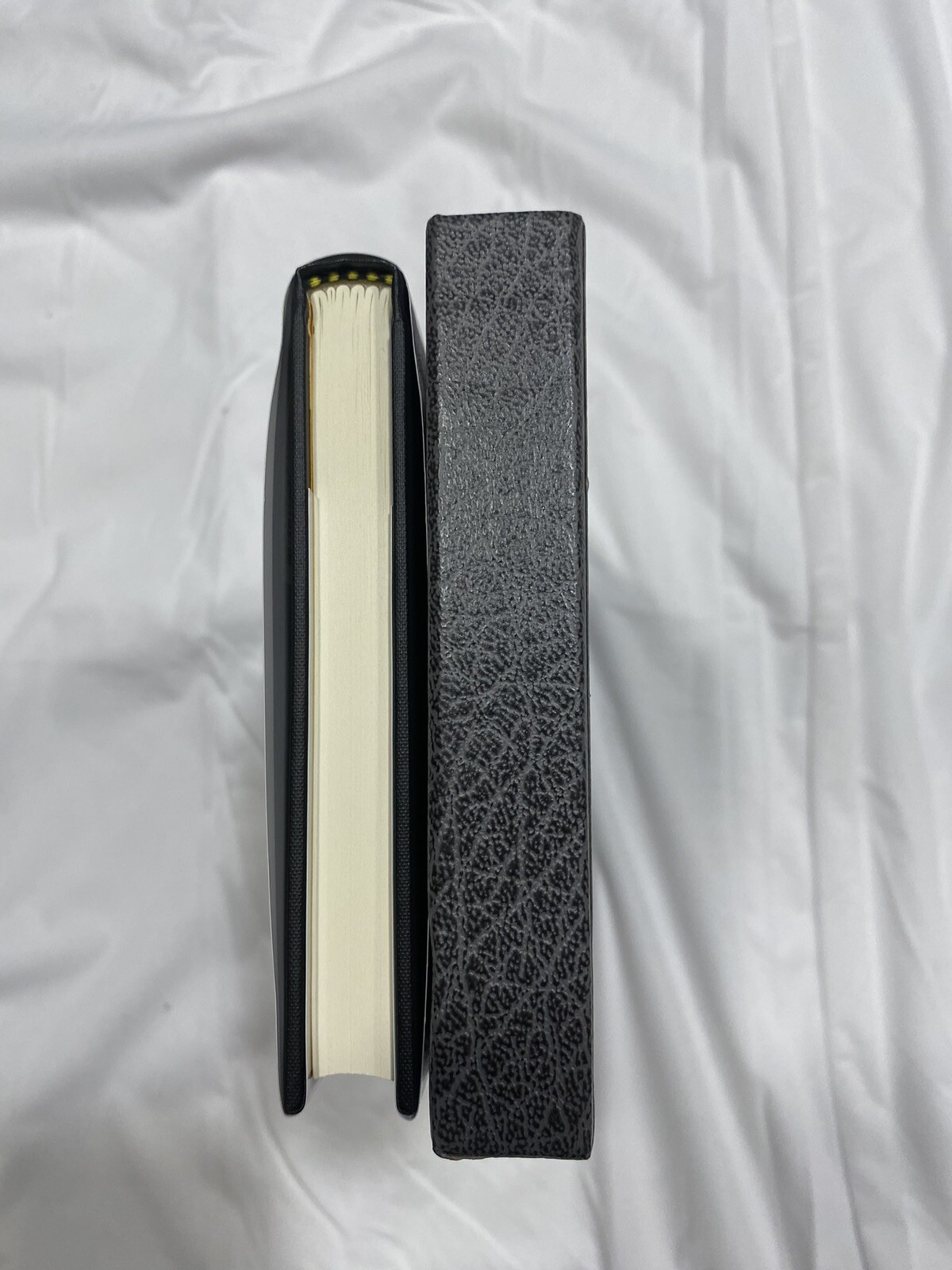 The Painted Darkness by Brian Freeman, SIGNED Limited Edition, HCDJ in Slipcase