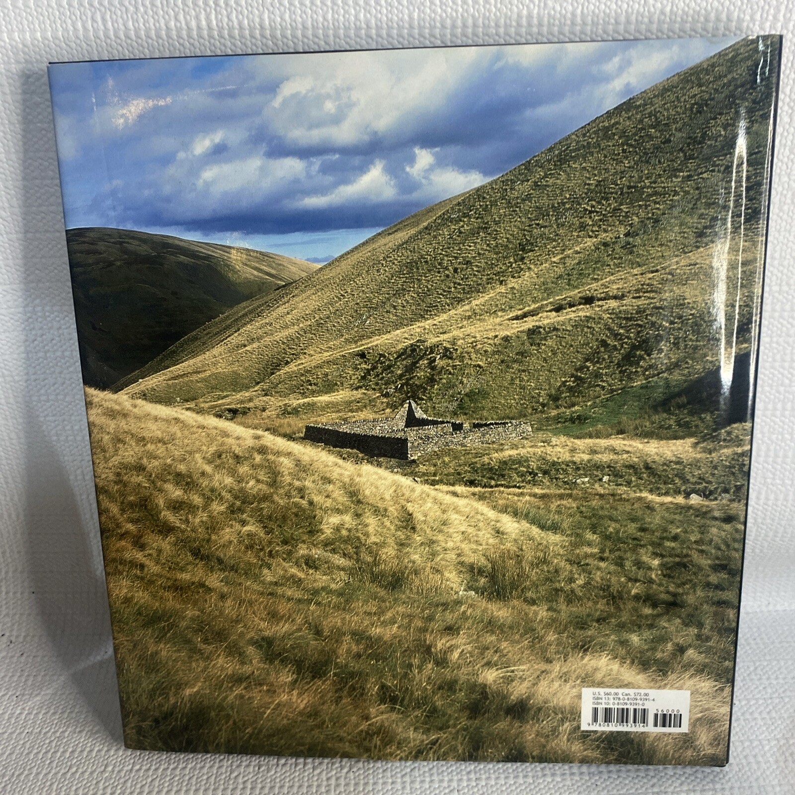 Enclosure by Andy Goldsworthy: E22