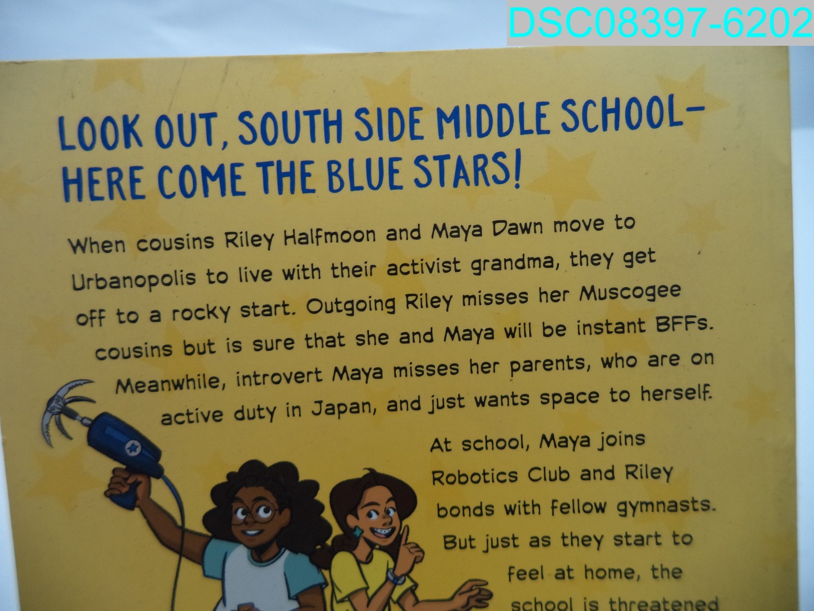 Blue Stars Mission One: The Vice Principal Problem Paperback 9781536228663