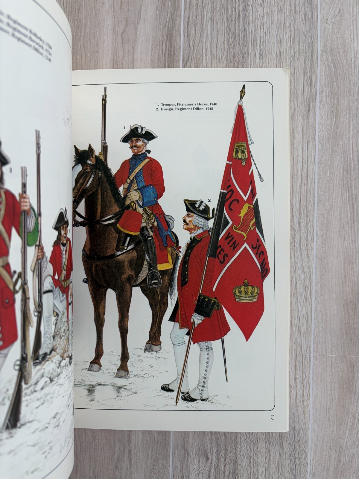 The Wild Geese: The Irish Brigades of France and Spain , no102