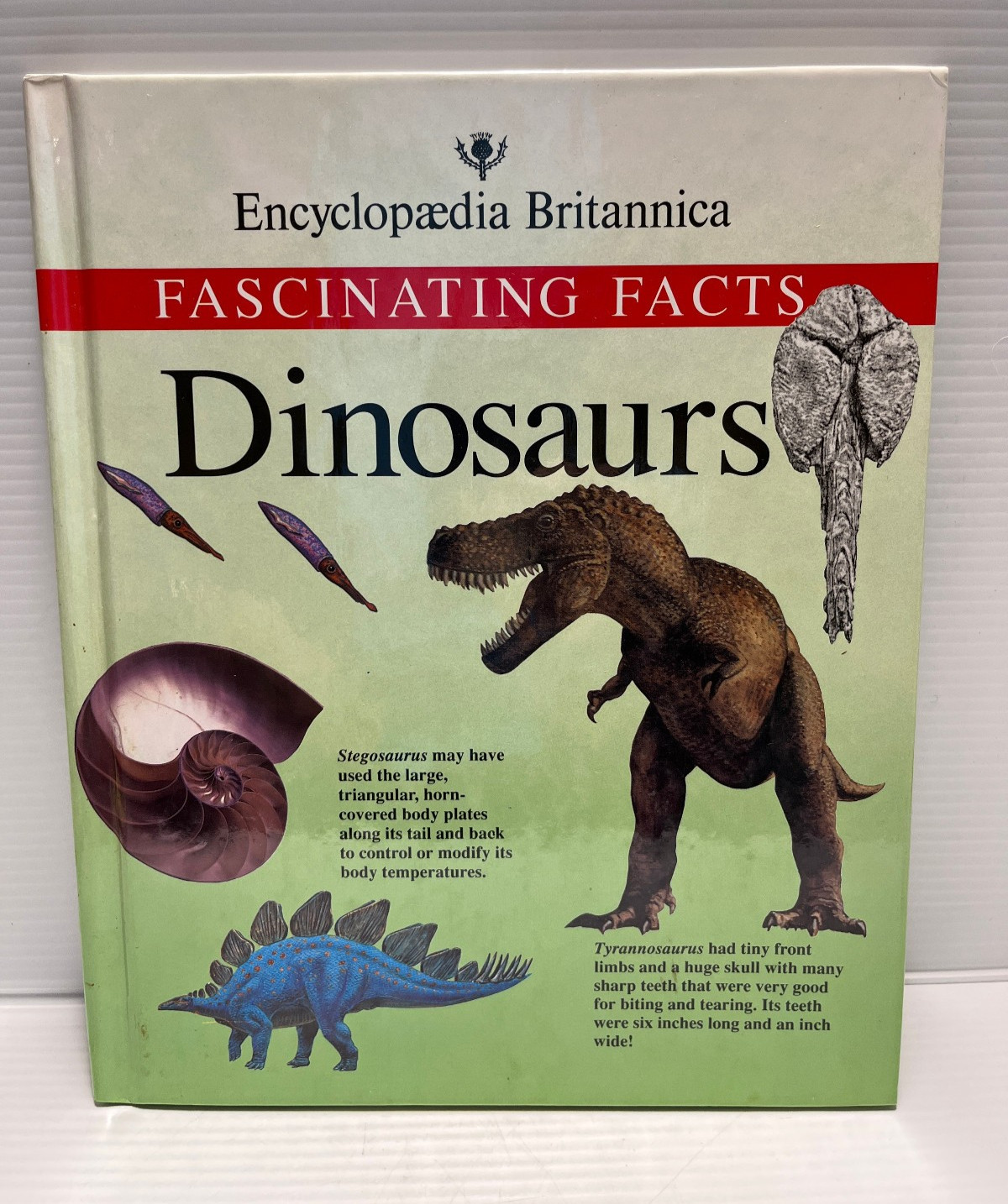 3 Dinosaurs Curriculum 3 Kids Student Information Home school Classroom Lot of 6