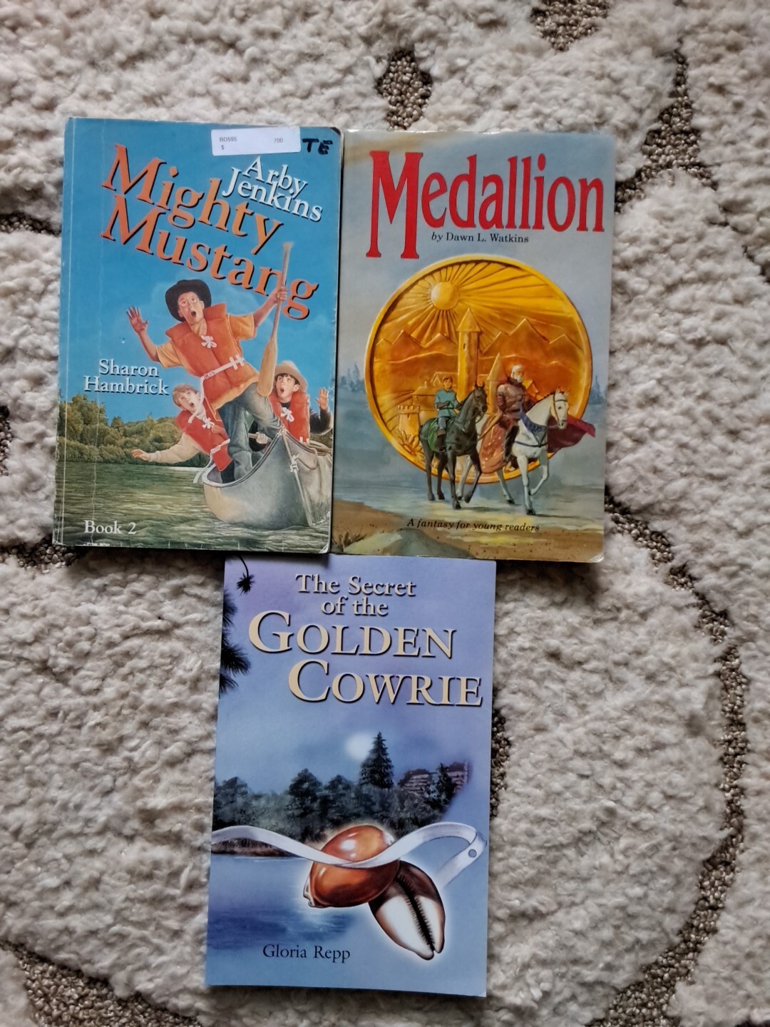 Set of 6 Journey Forth Christian Chapter Books Ages 9-12, BJU, Medallion, Wren..