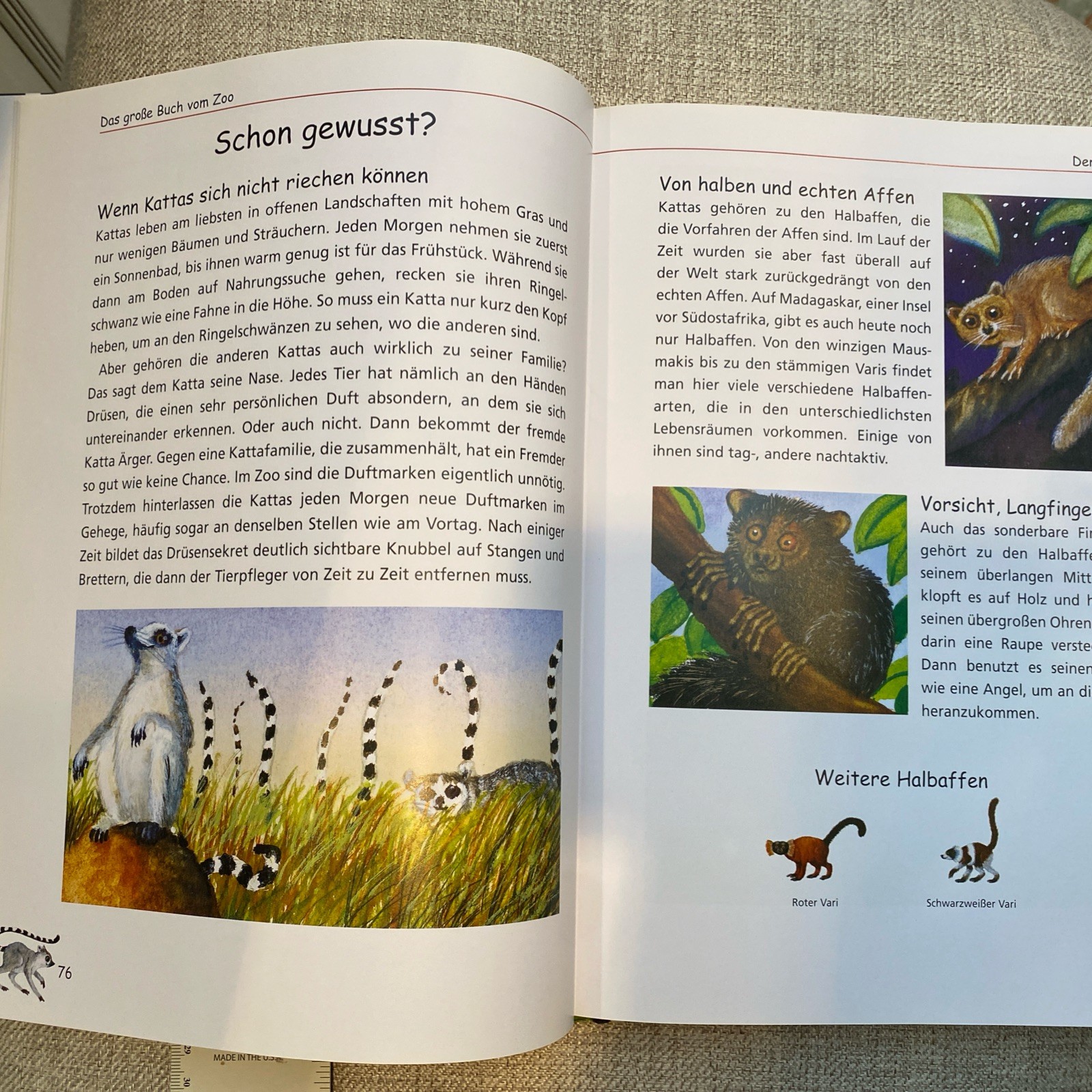 Das Grosse Buch vom Zoo German Language children’s book Adrian 252 Pages