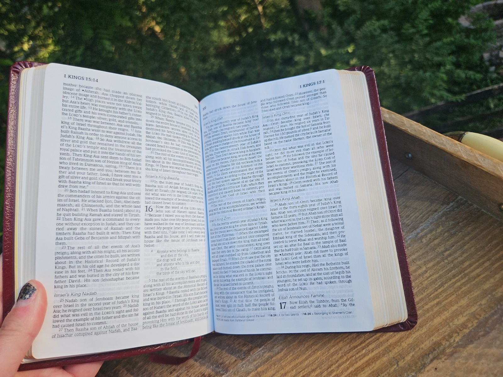 OOP HCSB Pocket-Size Bible Burgundy Bonded Leather with original box & magnifier