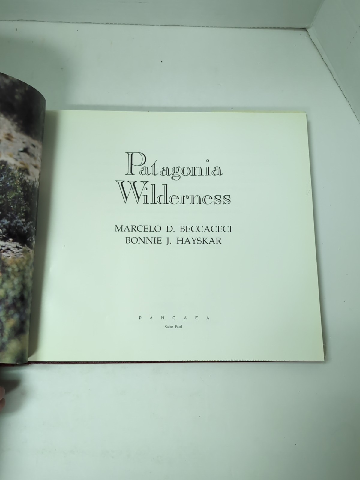 Patagonia Wilderness by Beccaceci 1991 Hardcover First Edition w/ DJ Photography