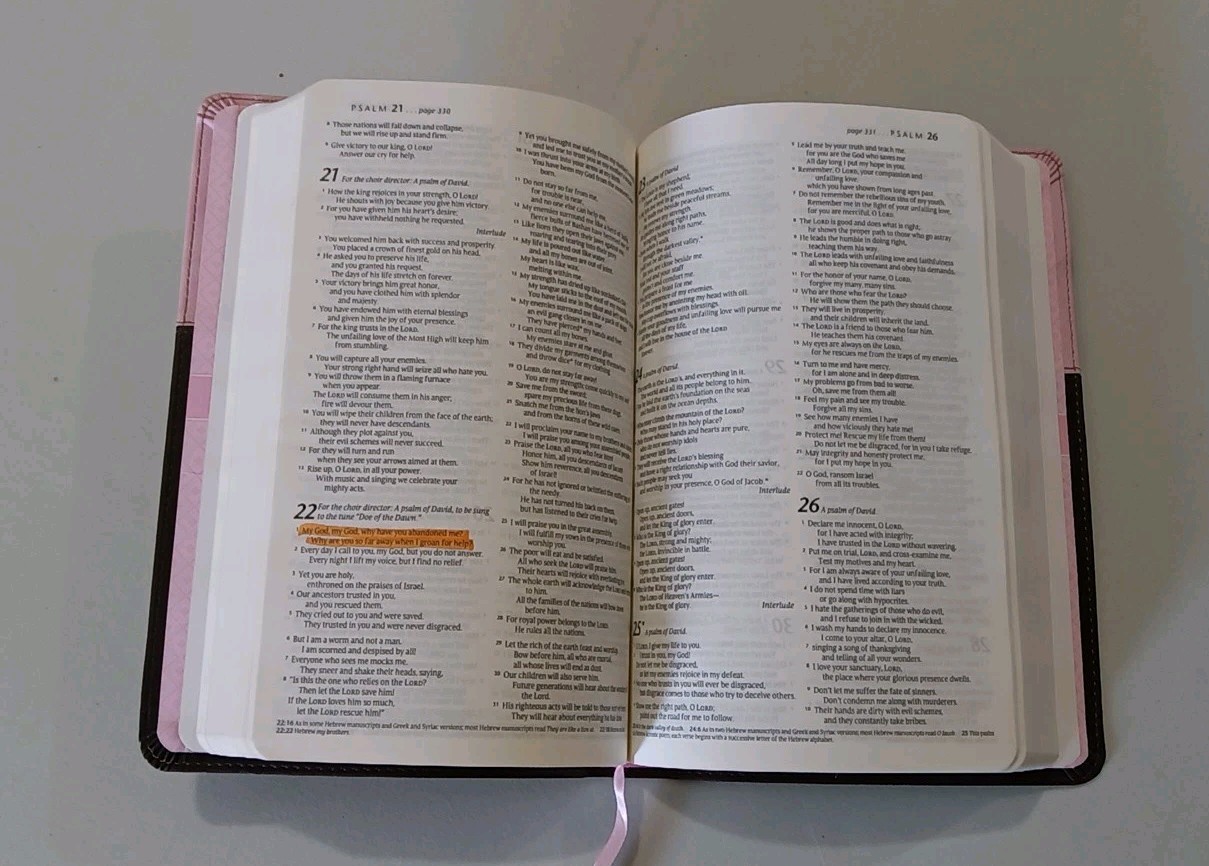 Rare “Holy Bible Gift & Award Edition” New Living Translation Softcover Pink