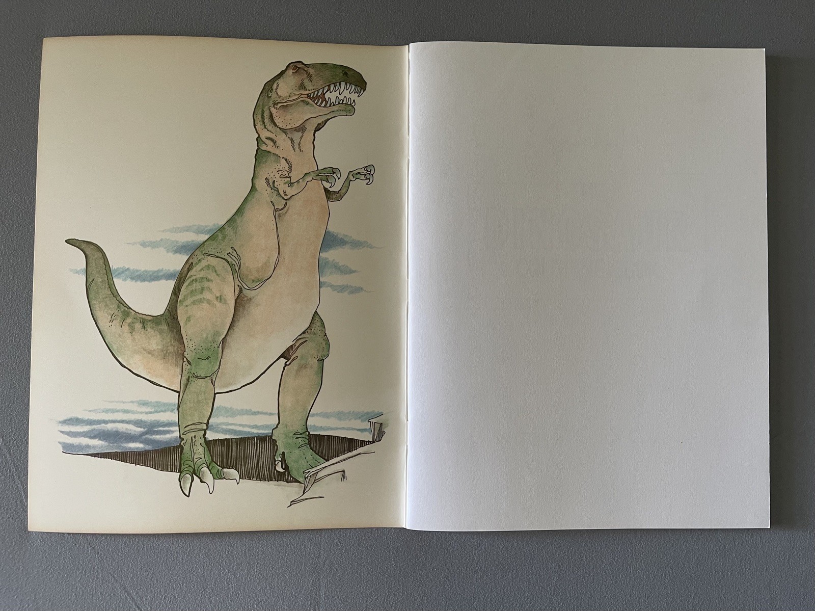 Vintage 1980 The Dinosaur Coloring Book by Anthony Rao for Dover Publications