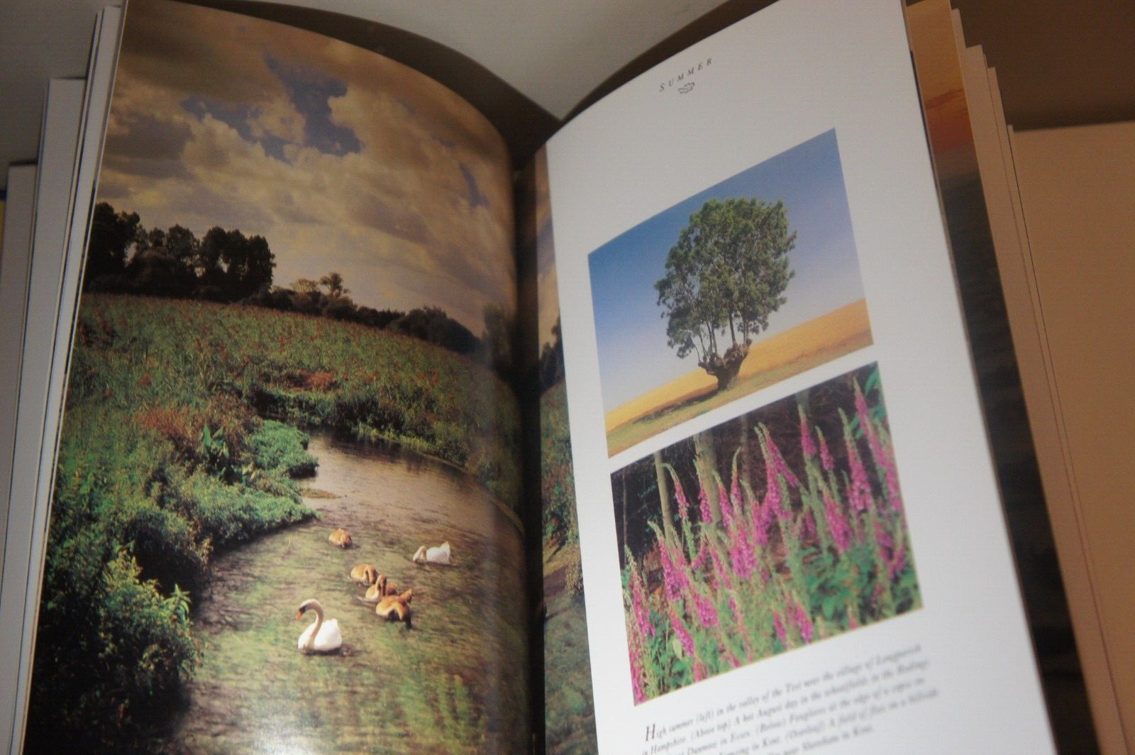 England: The Four Seasons by Busselle, Michael – Hardcover