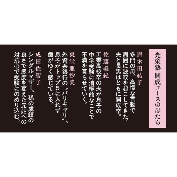 Shura no Sakura Bunshun Bunko Paperback Excellent For Ages 14+