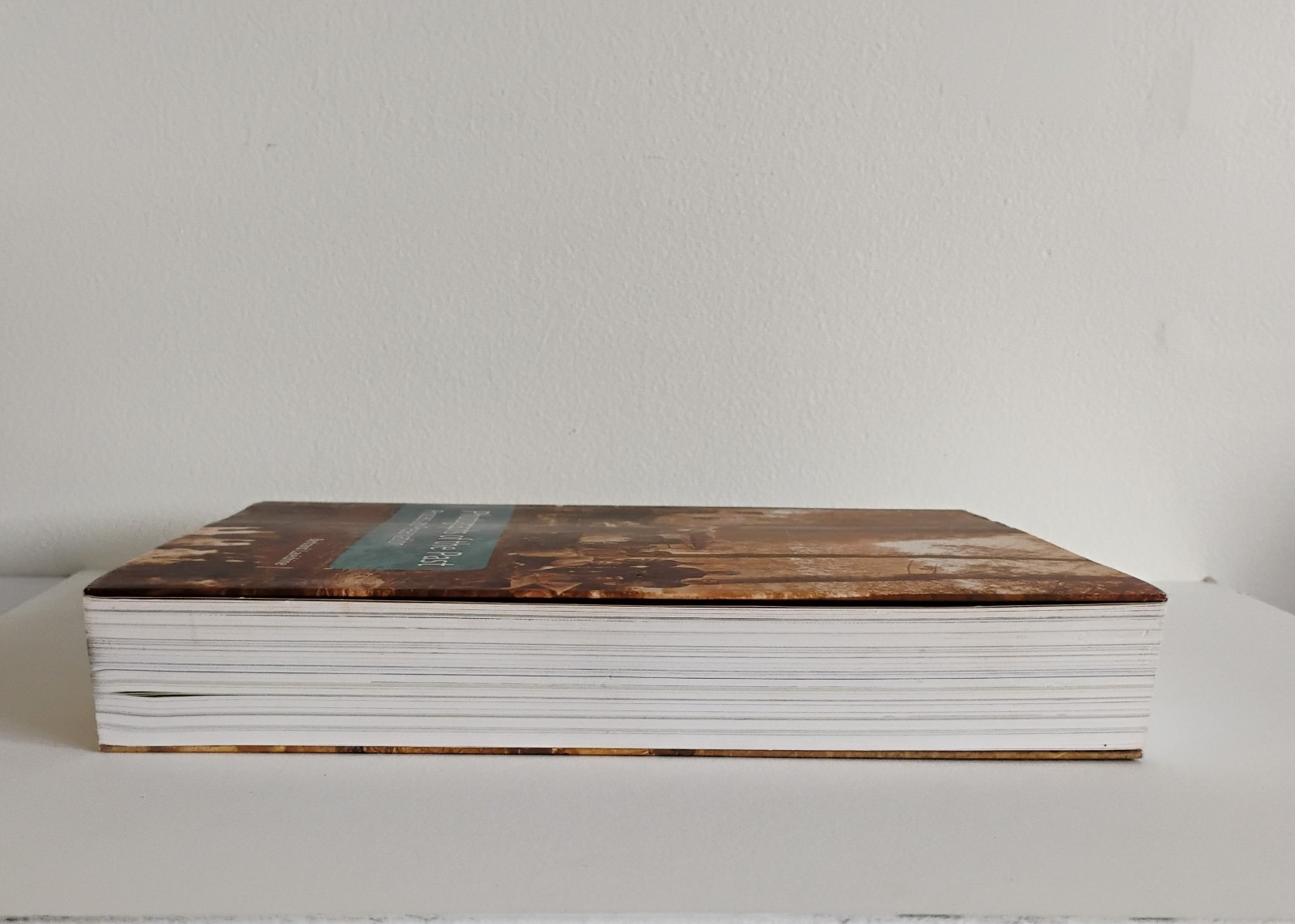 Photograph’s of the Past: Process and Preservation. Bertrand Lavedrine 2009 VG