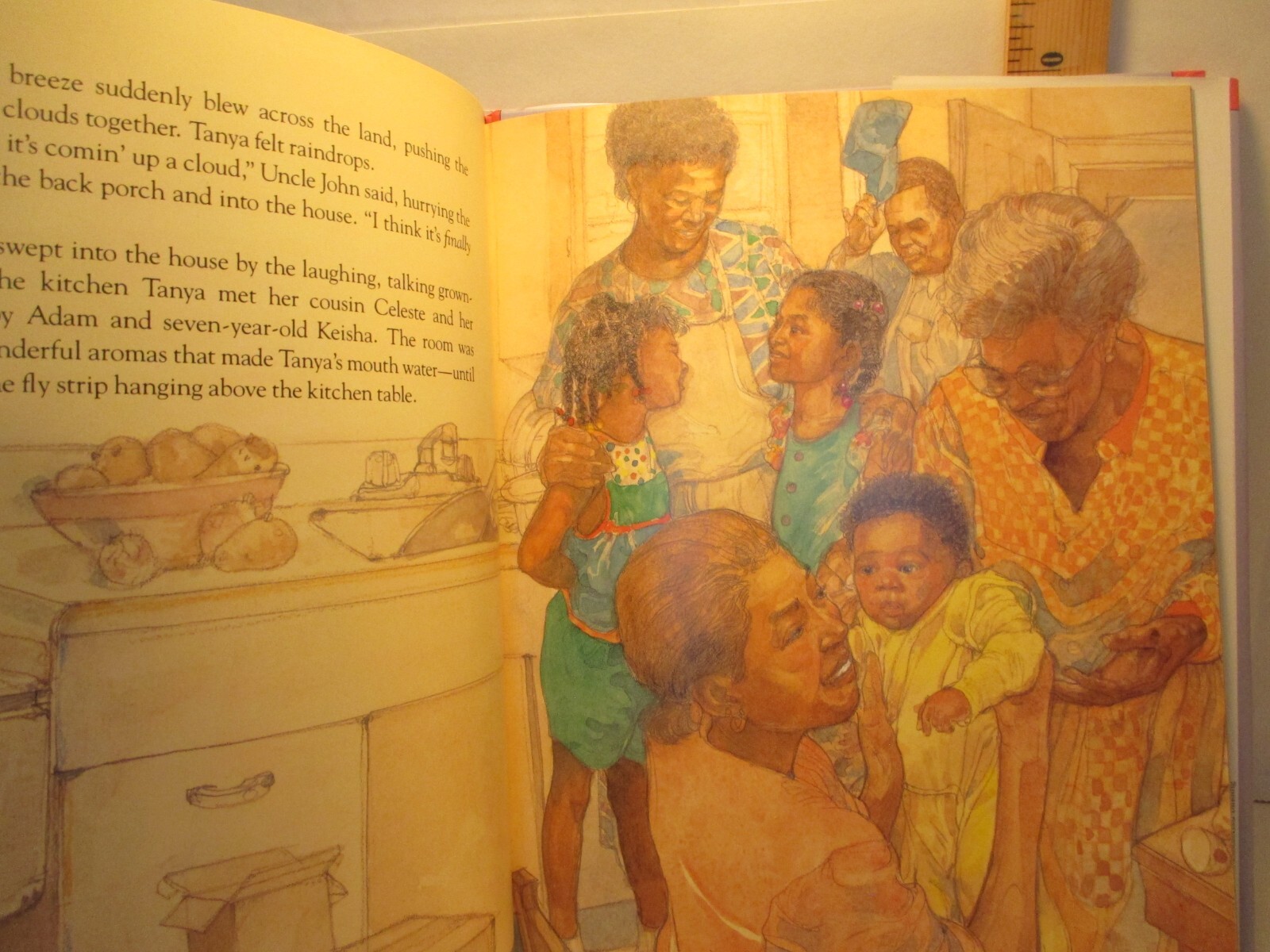 children’s picture book TANYA’S REUNION by FLOURNOY illus JERRY PINKNEY 1995 hc