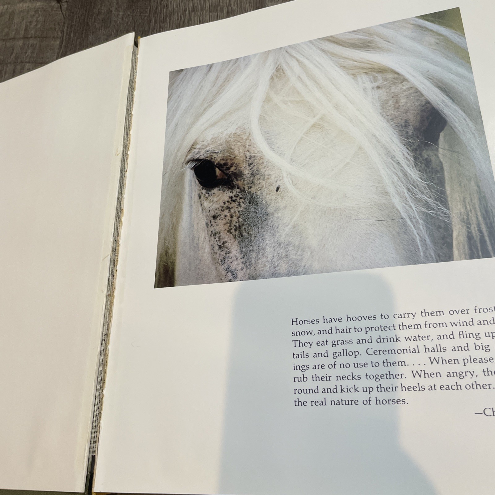 Such Is the Real Nature of Horses by Robert Vavra (1998, Hardcover/Dust Jacket)