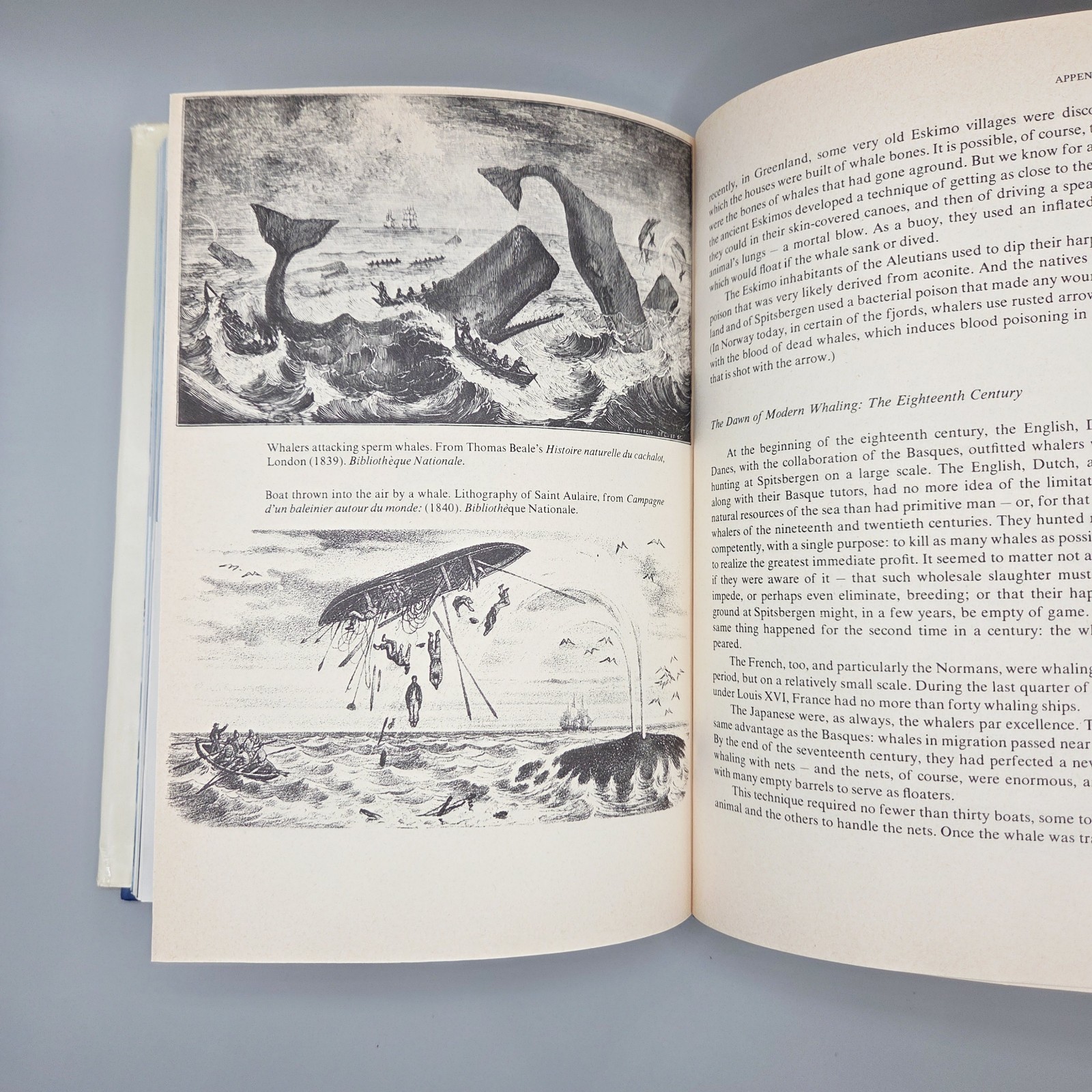 Jacques Cousteau Doubleday HCDJ Lot of 7 Shark Whale Octopus Diving Adventures