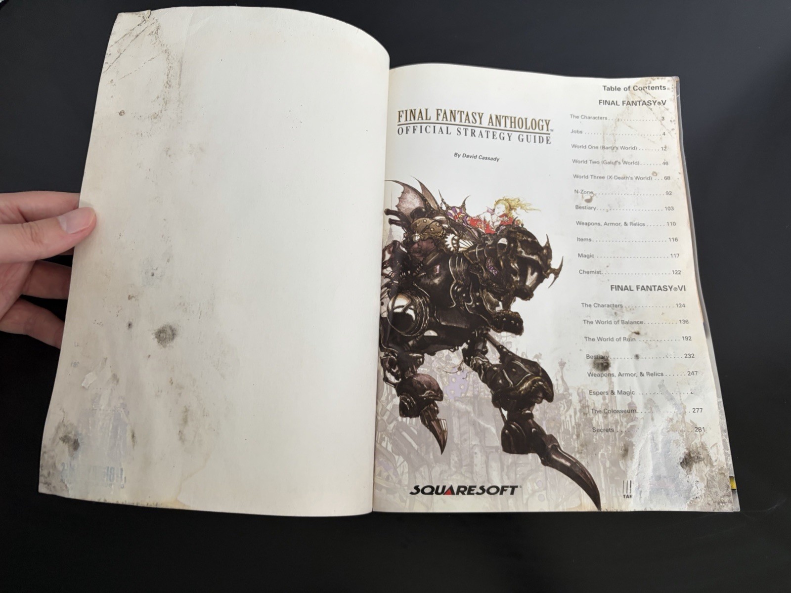 Final Fantasy Anthology Walkthrough Brady Games Strategy Guide Water Damage